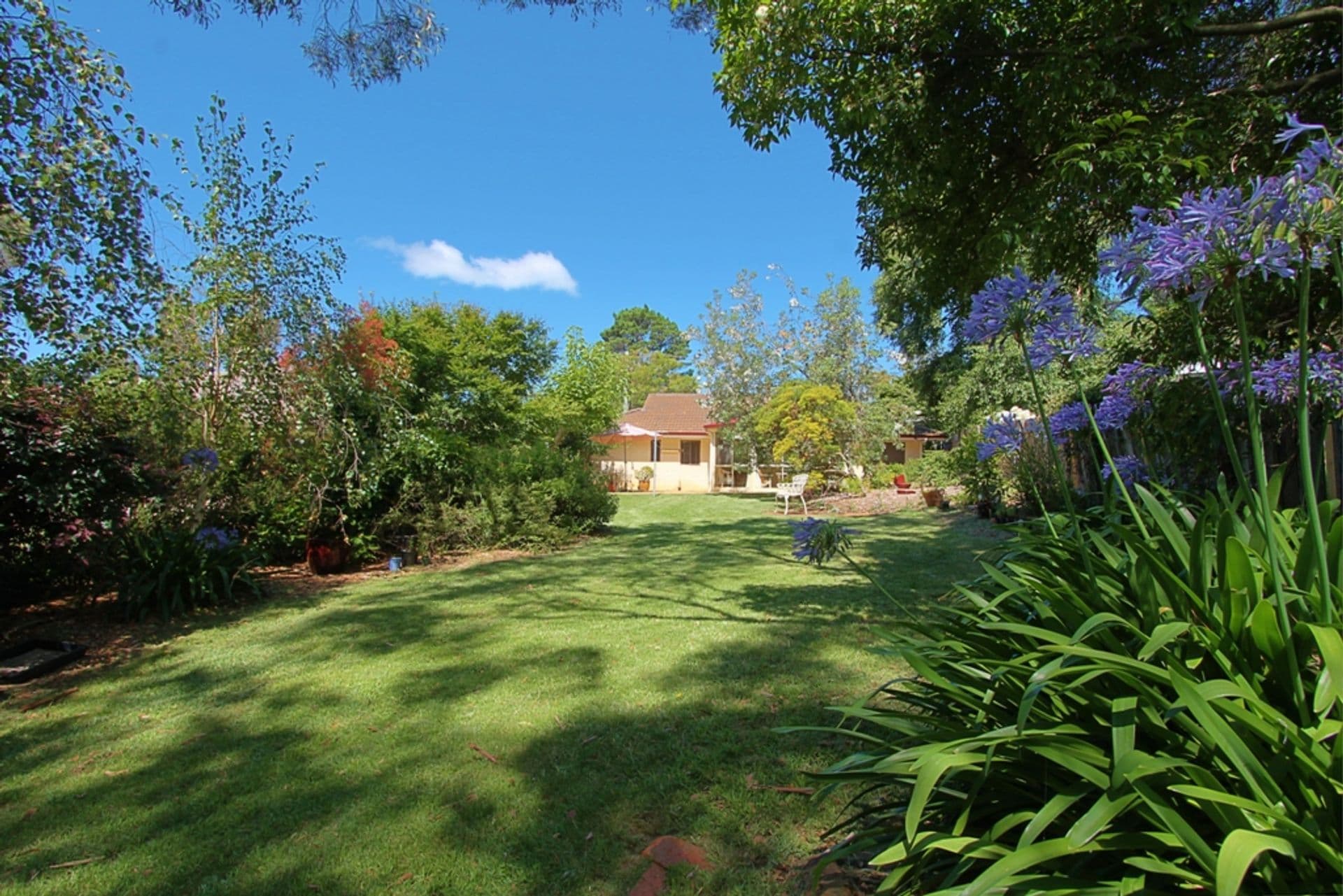 2 Wallis Street, Lawson, NSW, 2783, Lawson - Thumbnail 6