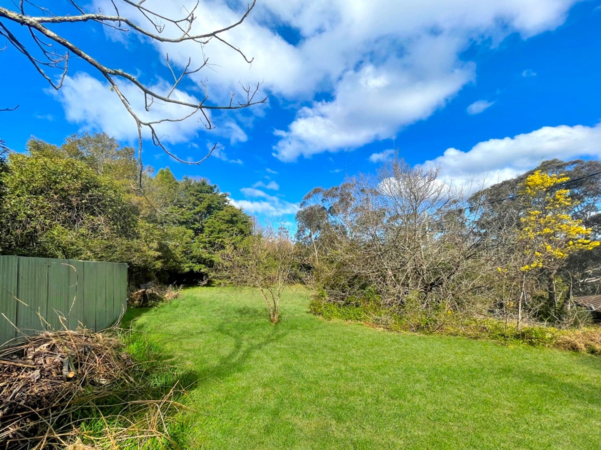 87 Railway Parade, Hazelbrook, NSW, 2779, Hazelbrook - Thumbnail 3