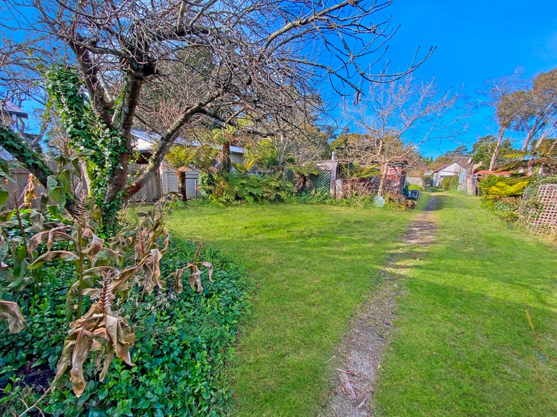 6 Park Lane, Blackheath, NSW, 2785, Blackheath - Thumbnail 3