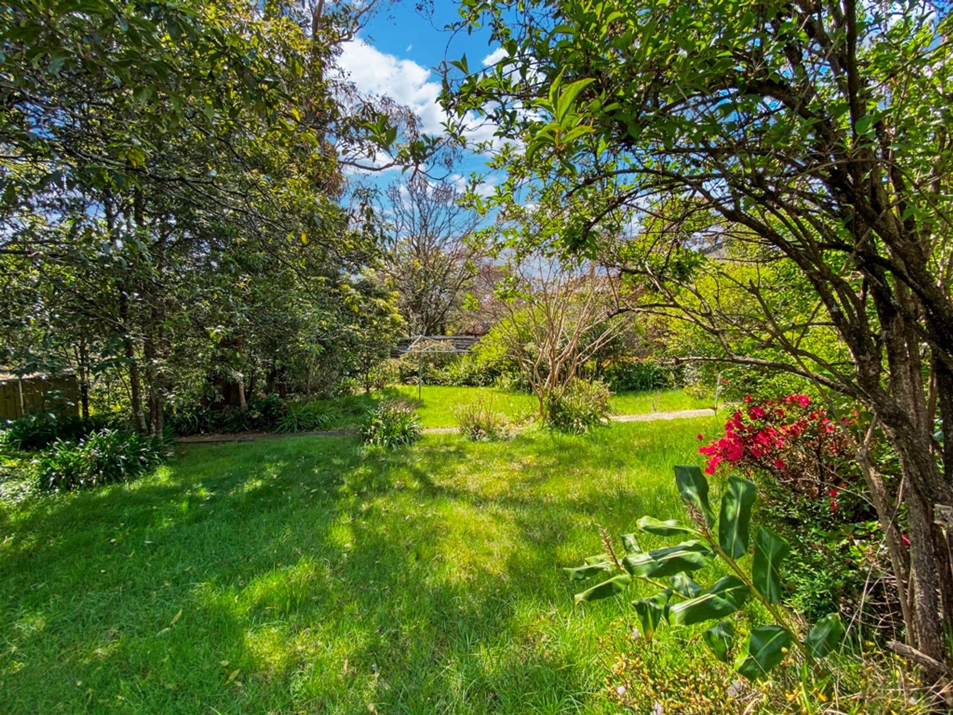 14 Liggins Road, Hazelbrook, NSW, 2779, Hazelbrook - Thumbnail 3