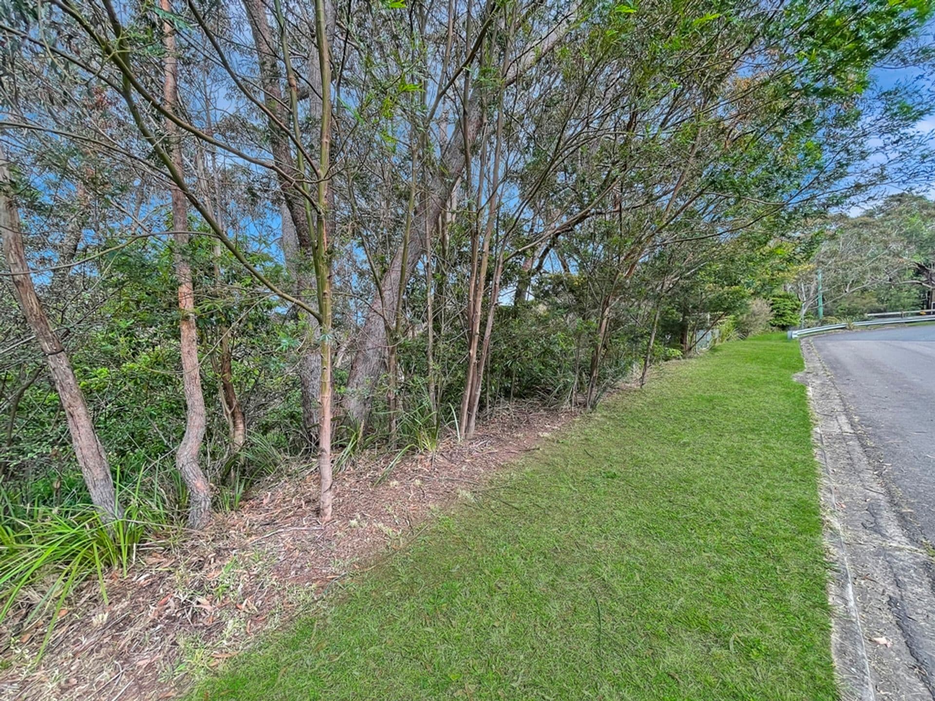 78 Pimelea Drive, Woodford, NSW, 2778, Woodford - Thumbnail 4