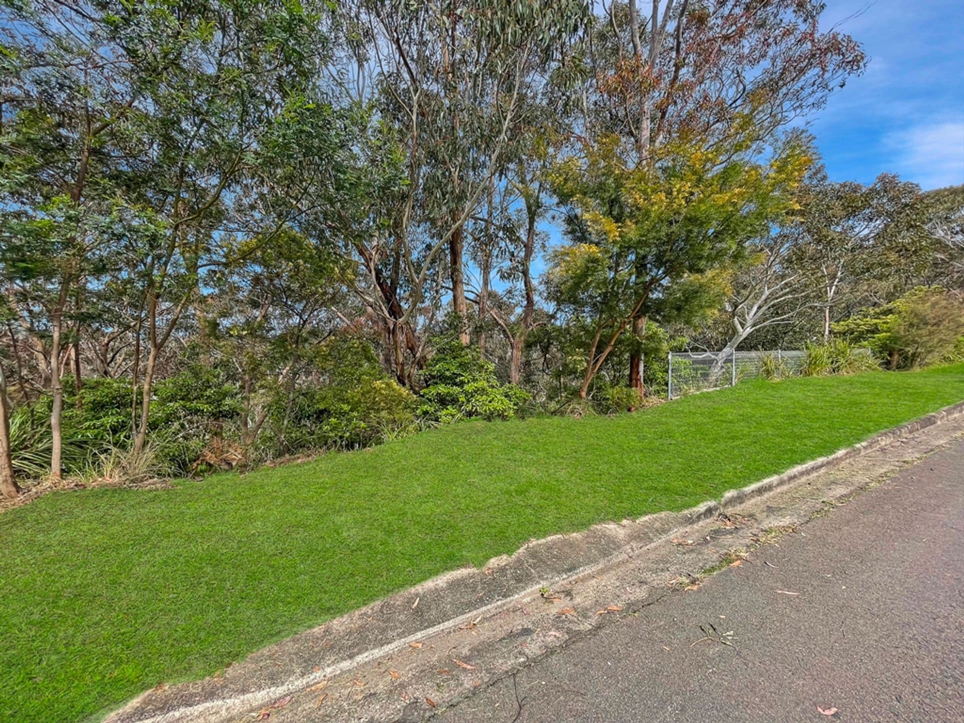 78 Pimelea Drive, Woodford, NSW, 2778, Woodford - Thumbnail 2
