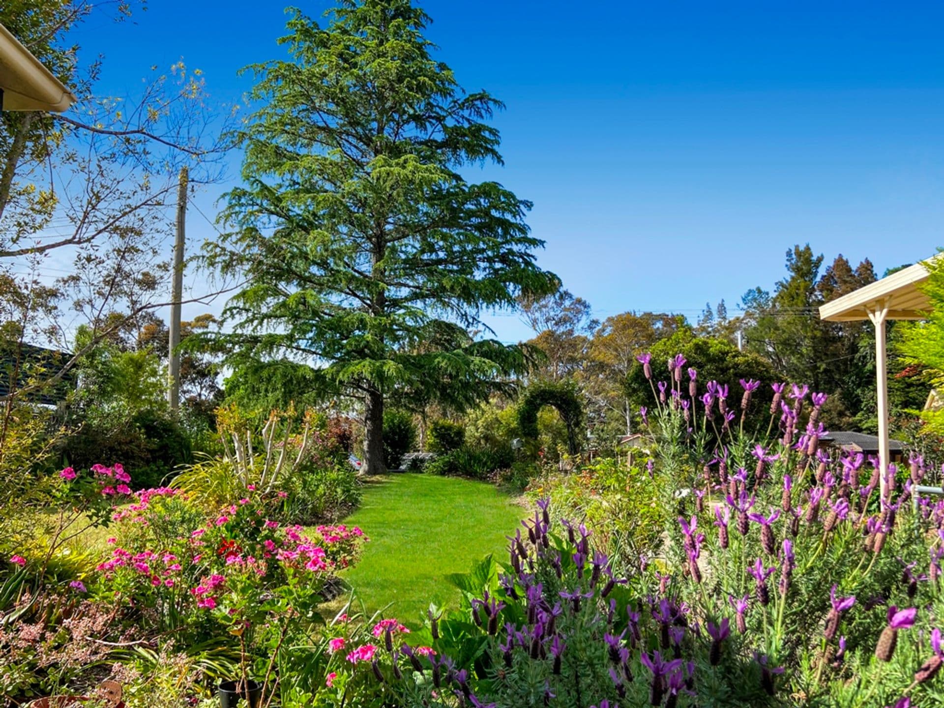 66 Talbot Road, Hazelbrook, NSW, 2779, Hazelbrook - Thumbnail 3