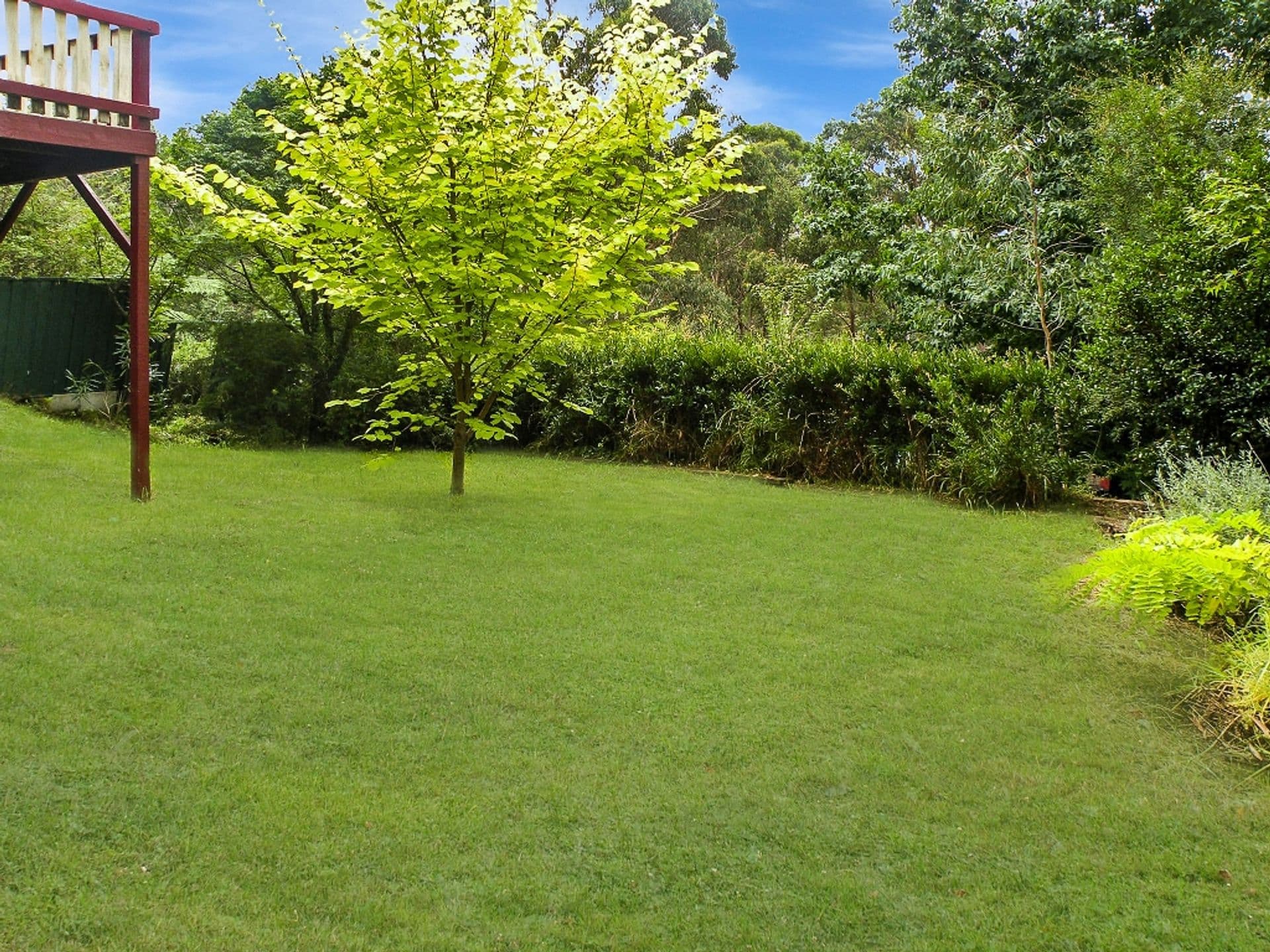 5 Boulder Crescent, Hazelbrook, NSW, 2779, Hazelbrook - Thumbnail 3