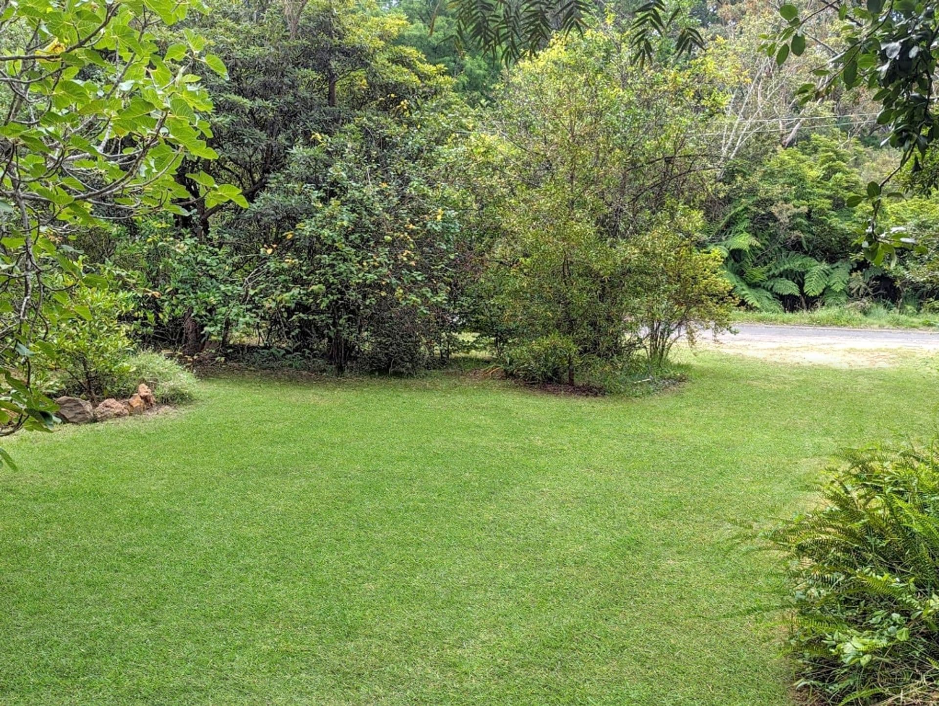 10-14 Park Road, Hazelbrook, NSW, 2779, Hazelbrook - Thumbnail 3