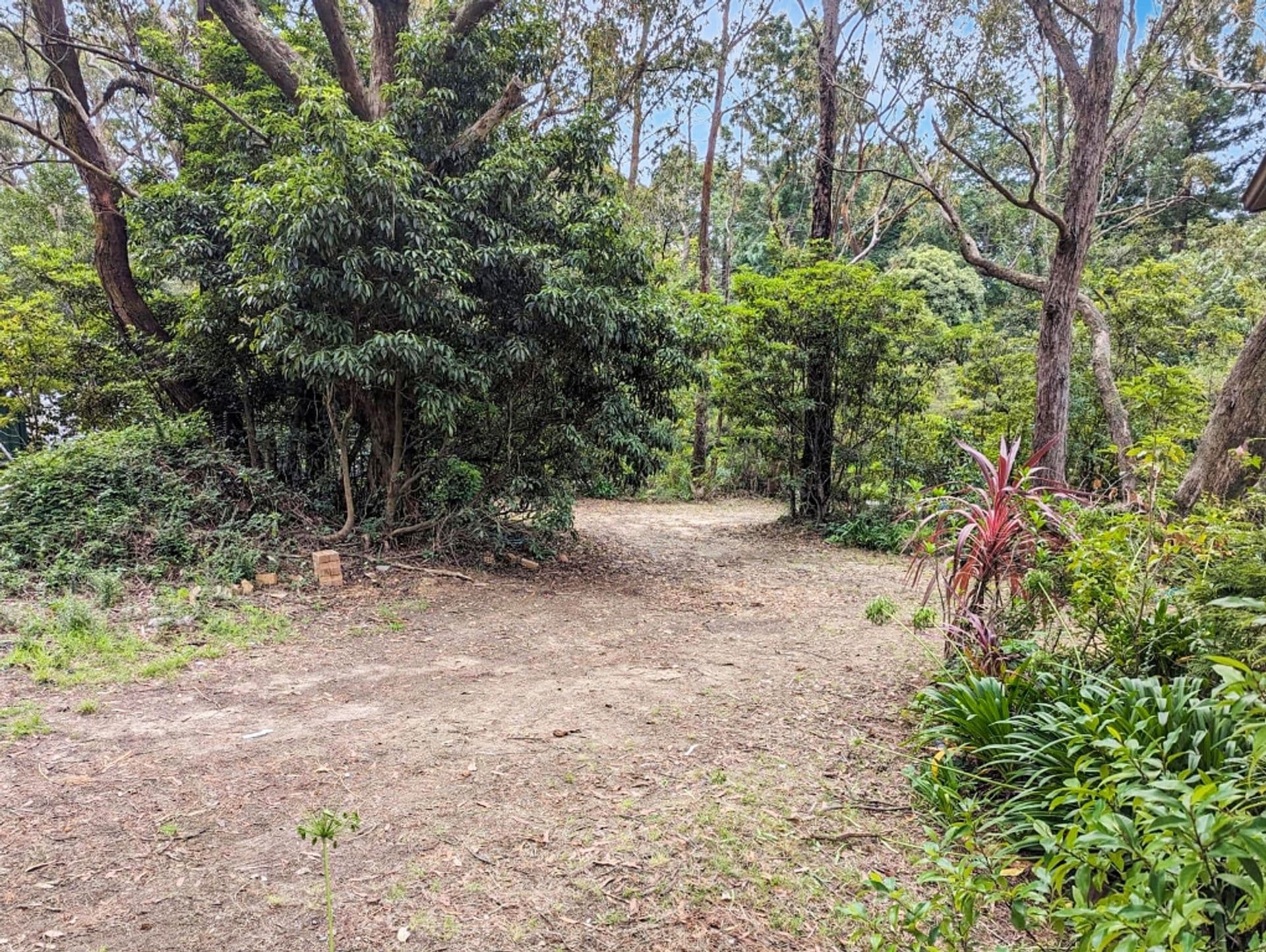 10-14 Park Road, Hazelbrook, NSW, 2779, Hazelbrook - Thumbnail 8
