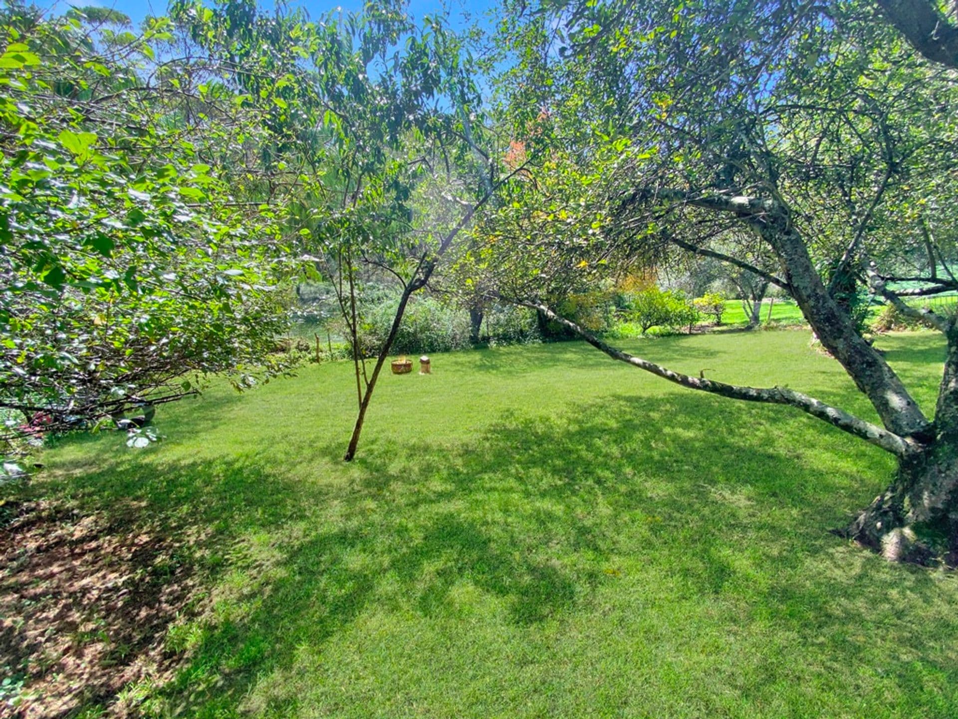 39 Loftus Street, Lawson, NSW, 2783, Lawson - Thumbnail 3
