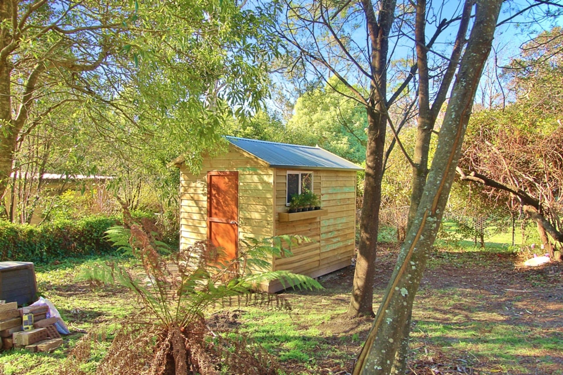 11 Yester Road, Wentworth Falls, NSW, 2782, Wentworth Falls - Thumbnail 4