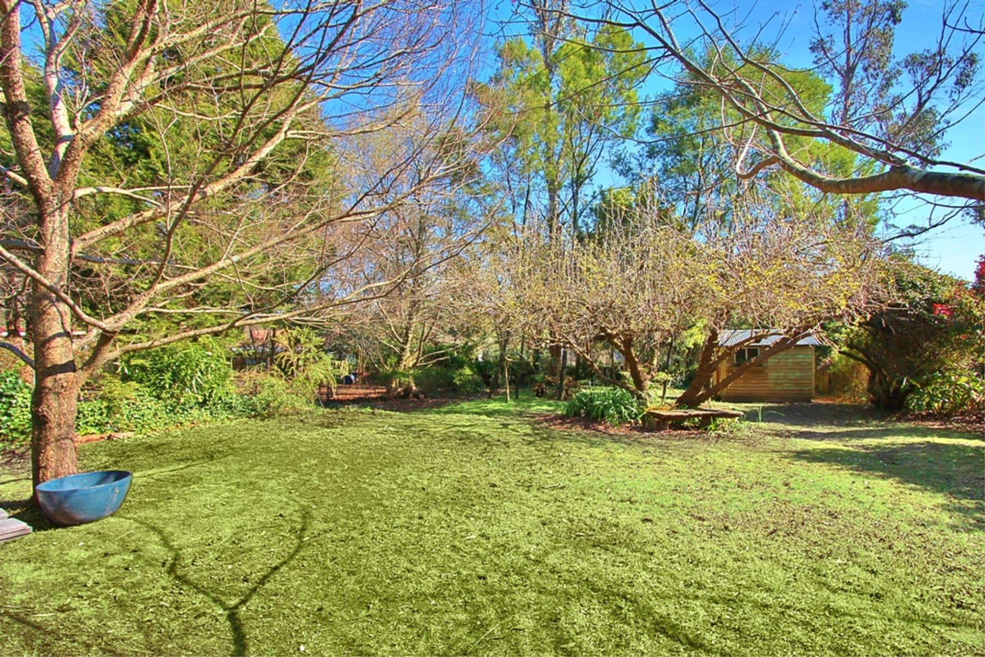 11 Yester Road, Wentworth Falls, NSW, 2782, Wentworth Falls - Thumbnail 8
