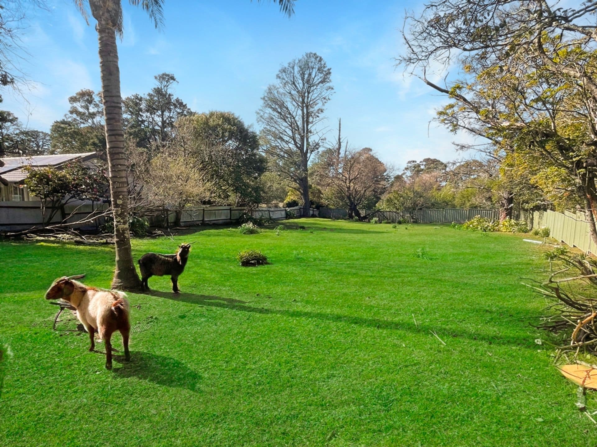 9 Arthur Street, Woodford, NSW, 2778, Woodford - Thumbnail 2