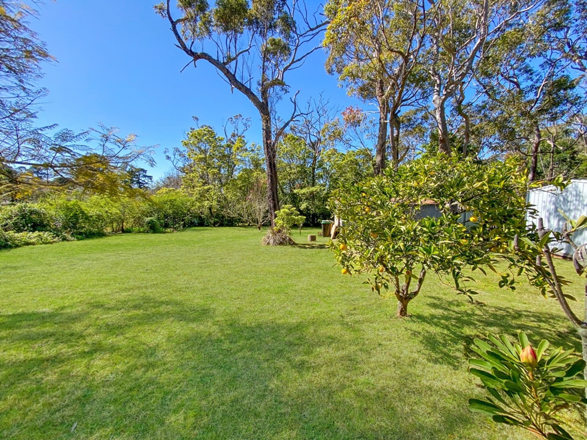 24 Genevieve Road, Bullaburra, NSW, 2784, Bullaburra - Thumbnail 3
