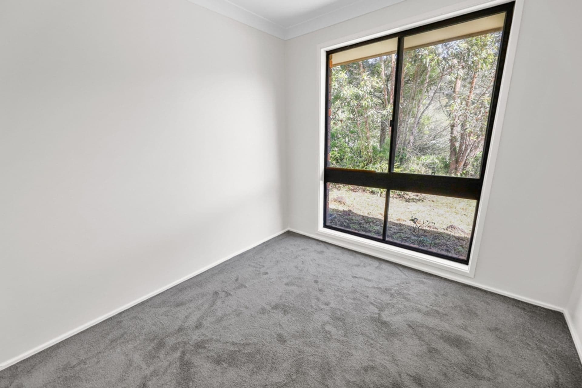 99 Hall Parade, Hazelbrook, NSW, 2779, Hazelbrook - Thumbnail 6