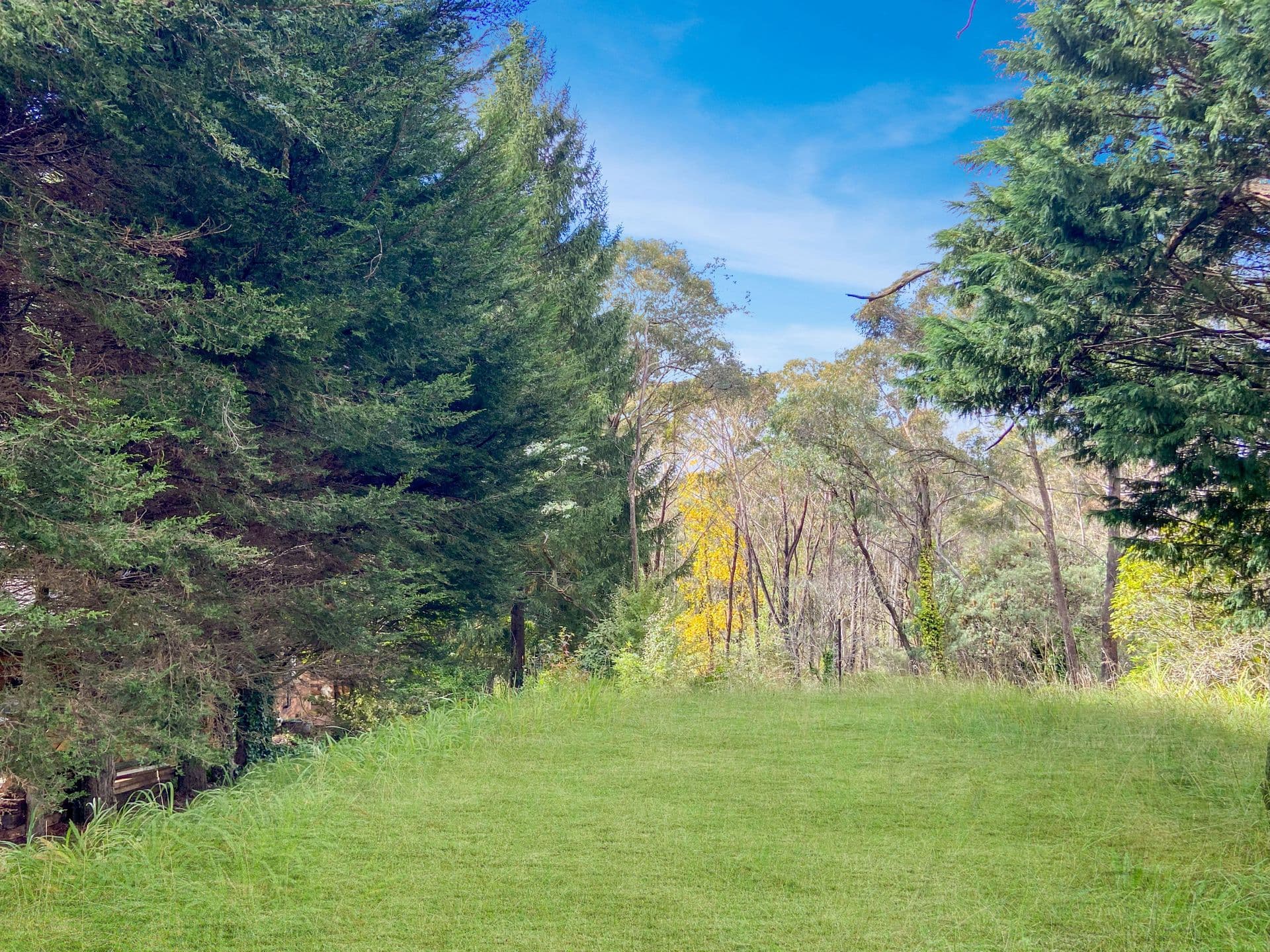 74 Railway Parade, Medlow Bath, NSW, 2780, Medlow Bath - Thumbnail 2