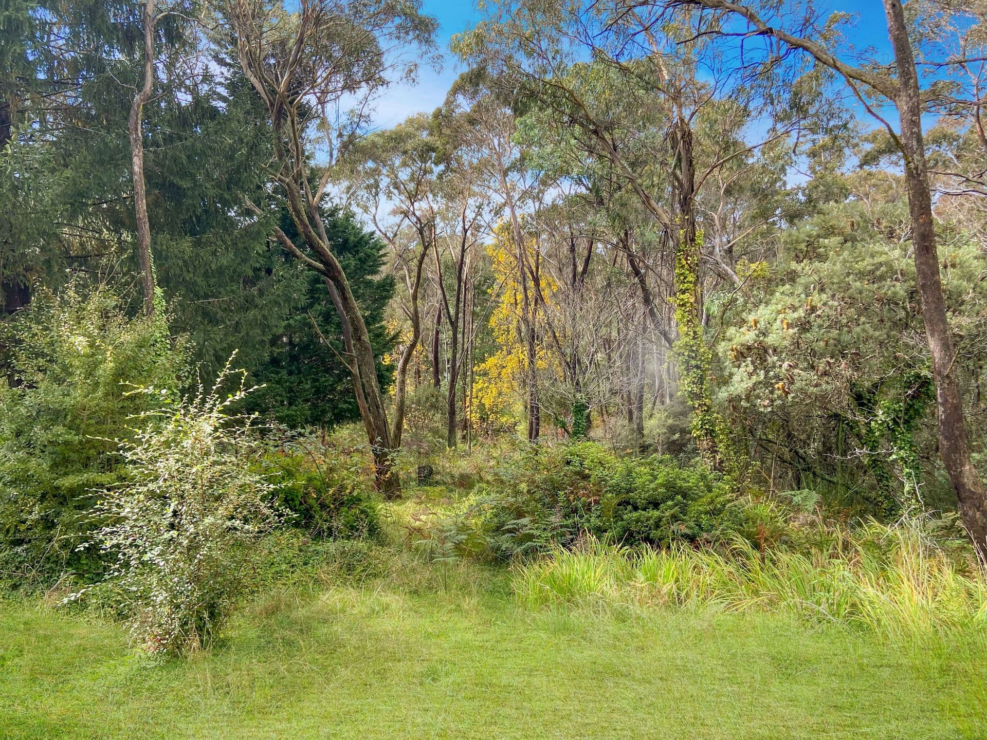 74 Railway Parade, Medlow Bath, NSW, 2780, Medlow Bath - Thumbnail 4
