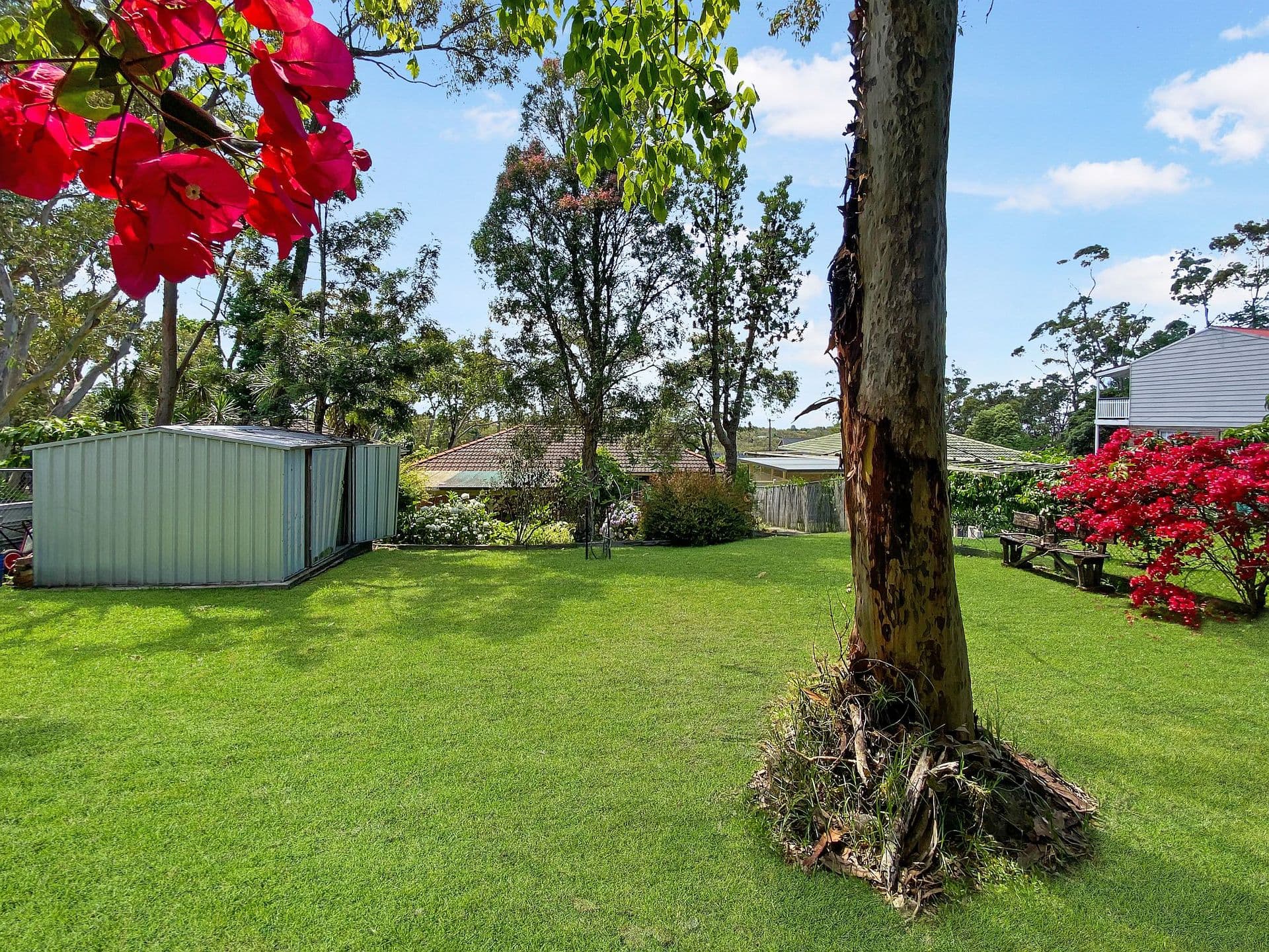 19 Wideview Avenue, Woodford, NSW, 2778, Woodford - Thumbnail 6