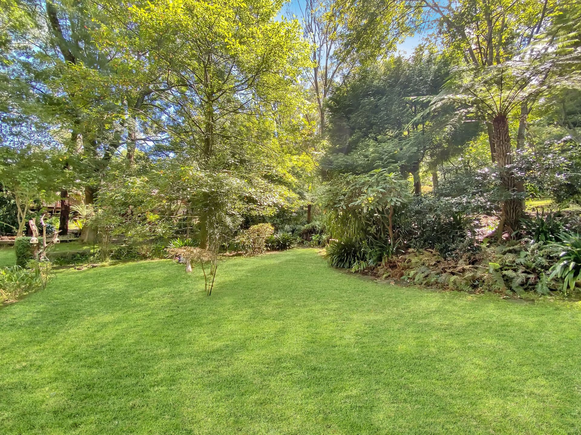 6 Landseer Road, Hazelbrook, NSW, 2779, Hazelbrook - Thumbnail 5