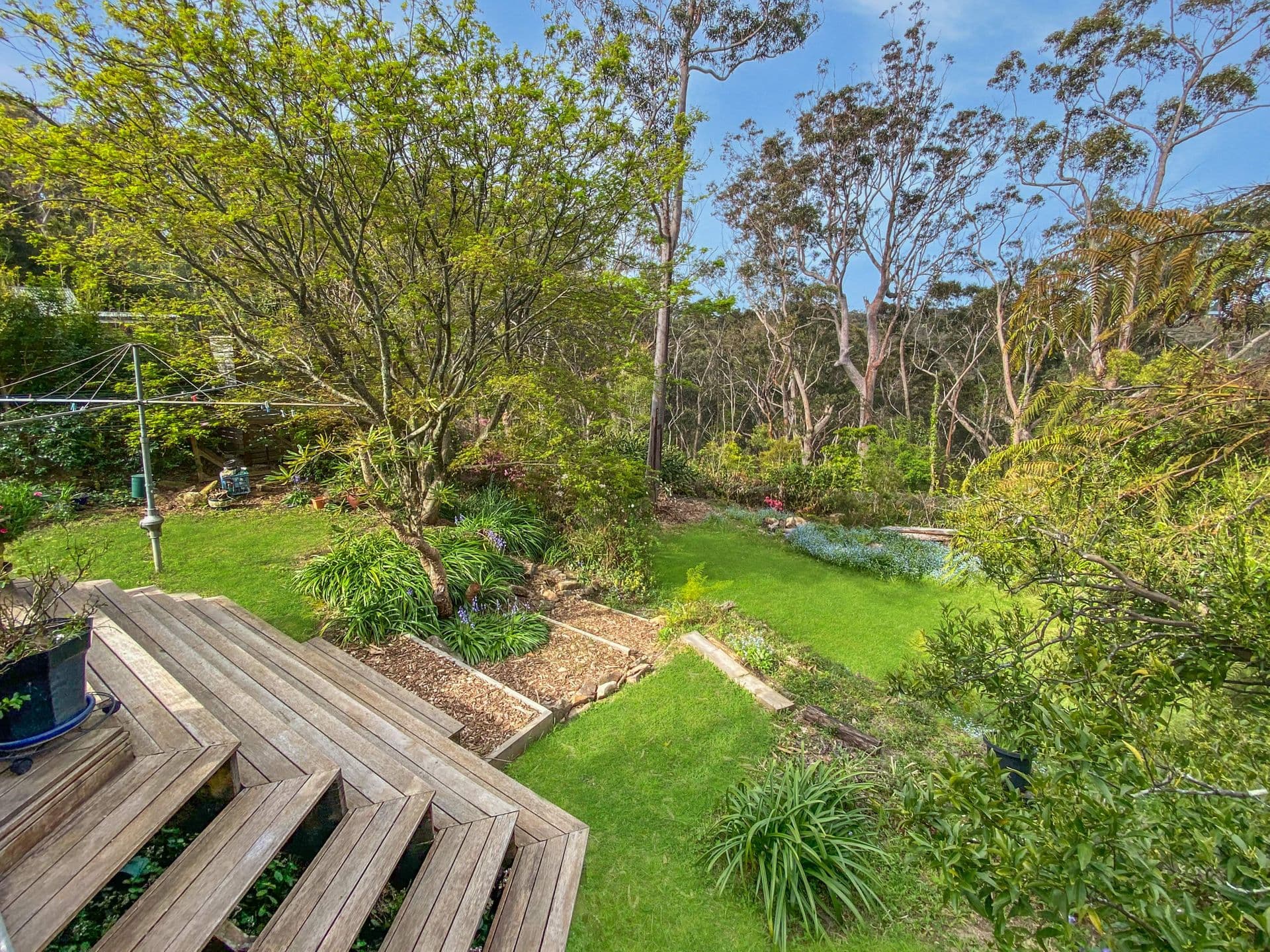 40 Terrace Falls Road, Hazelbrook, NSW, 2779, Hazelbrook - Thumbnail 4