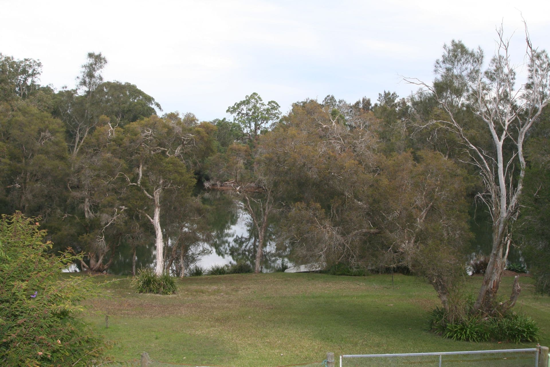 73 Newport Road, Dora Creek, NSW, 2264, Dora Creek - Thumbnail 2