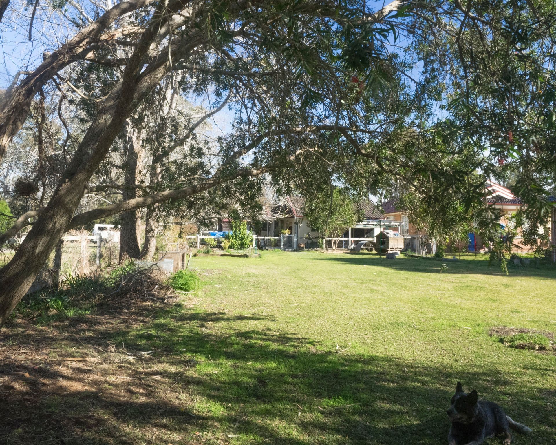 170 Dora Street, Dora Creek, NSW, 2264, Dora Creek - Thumbnail 7
