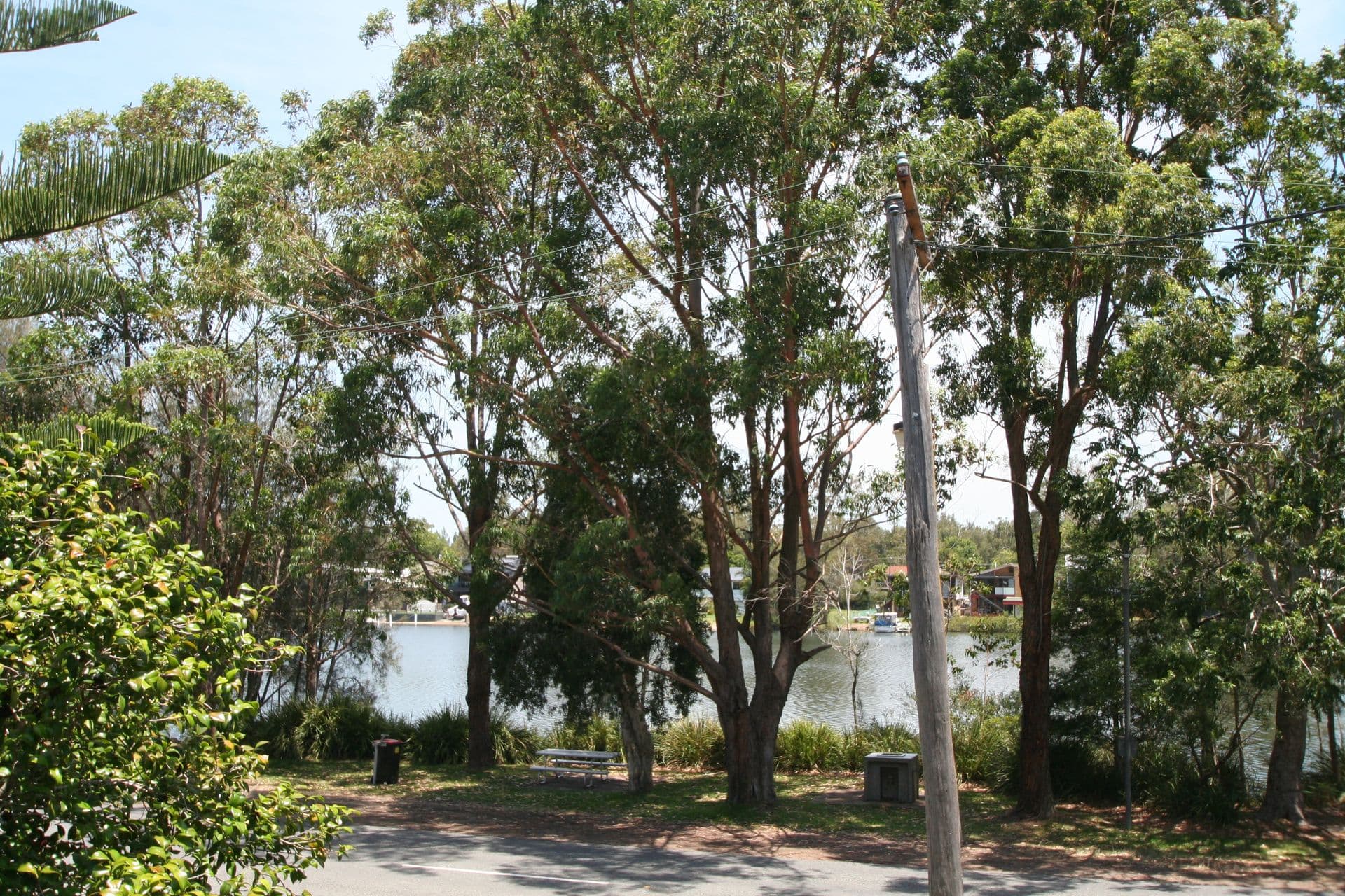 10 Newport Road, Dora Creek, NSW, 2264, Dora Creek - Thumbnail 3
