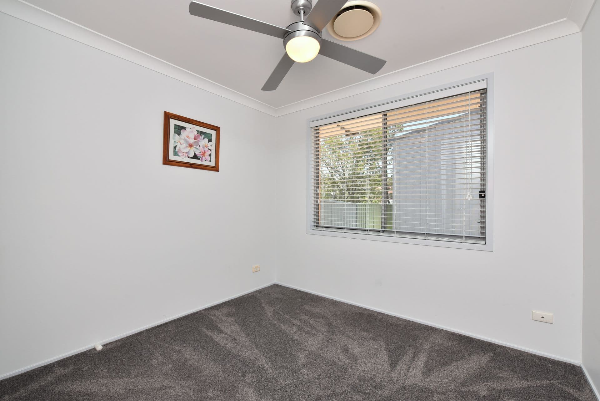 91 Sealand Road, Fishing Point, NSW, 2283, Fishing Point - Thumbnail 8