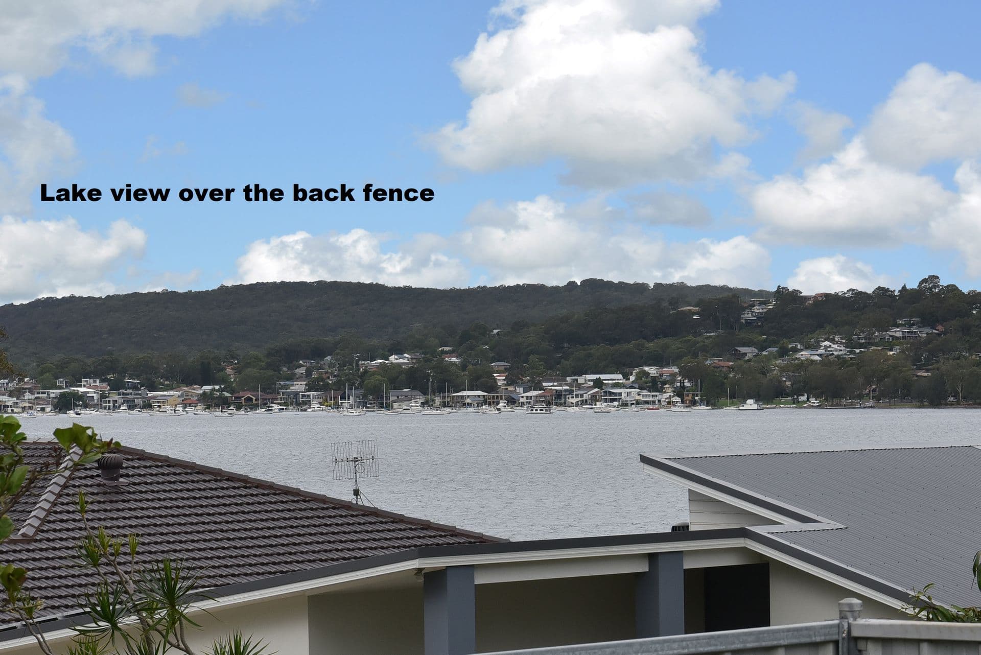 24 Wattle Street, Bolton Point, NSW, 2283, Bolton Point - Thumbnail 3