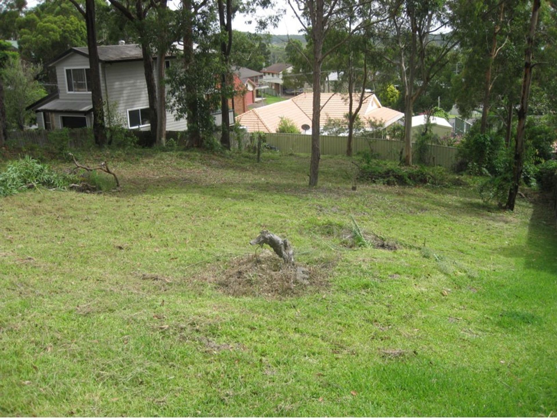 69 Harborne Avenue, Rathmines, NSW, 2283, Rathmines - Thumbnail 3