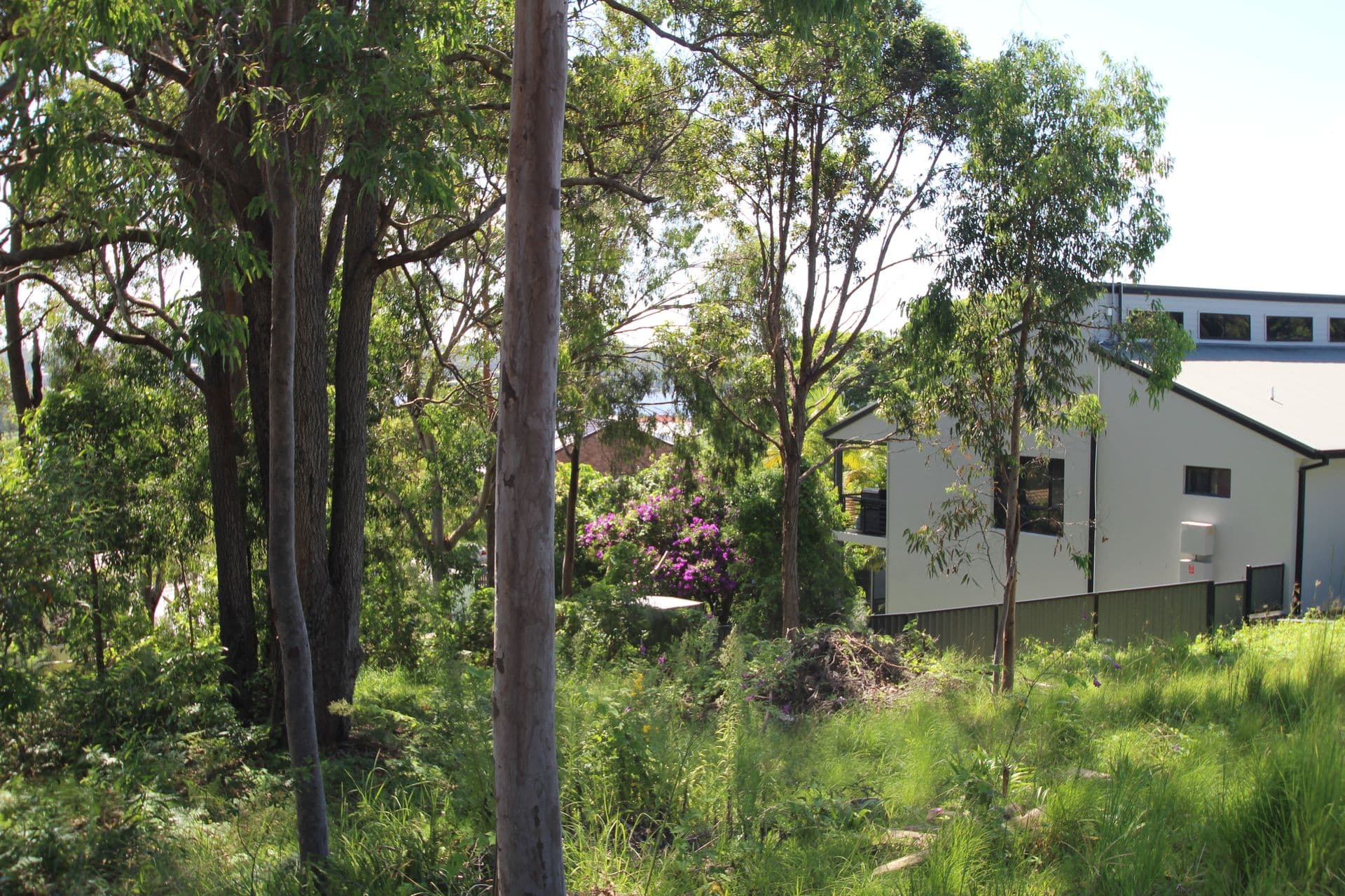 69 Harborne Avenue, Rathmines, NSW, 2283, Rathmines - Thumbnail 8