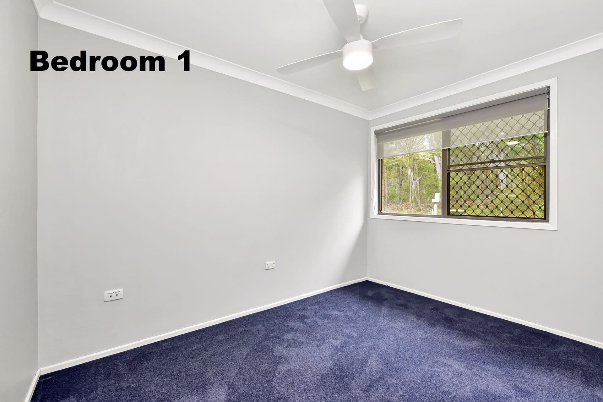 18 Overhill Road, Rathmines, NSW, 2283, Rathmines - Thumbnail 8
