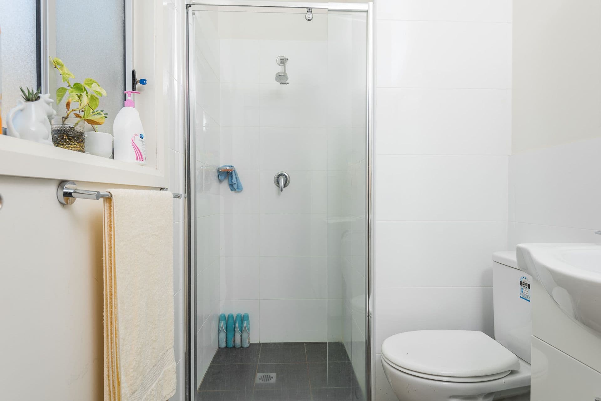 13 Lavender Place, Fairfield West, NSW, 2165, Fairfield West - Thumbnail 6