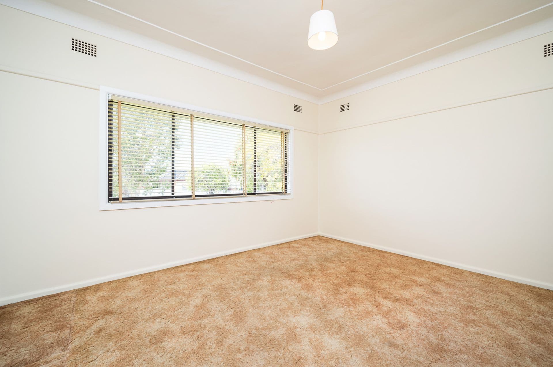 45 Carabeen Street, Cabramatta, NSW, 2166, Cabramatta - Thumbnail 4
