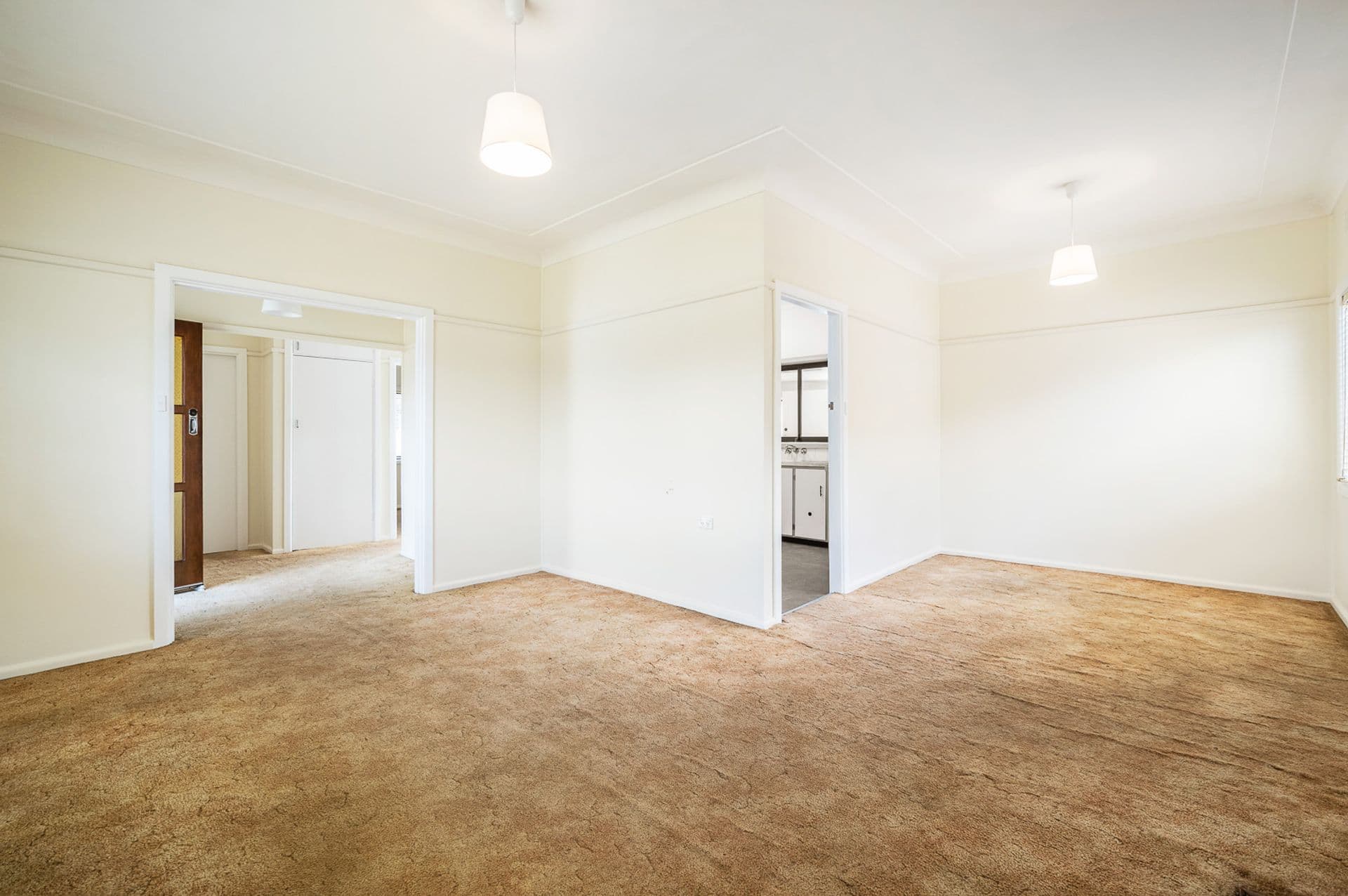 45 Carabeen Street, Cabramatta, NSW, 2166, Cabramatta - Thumbnail 2