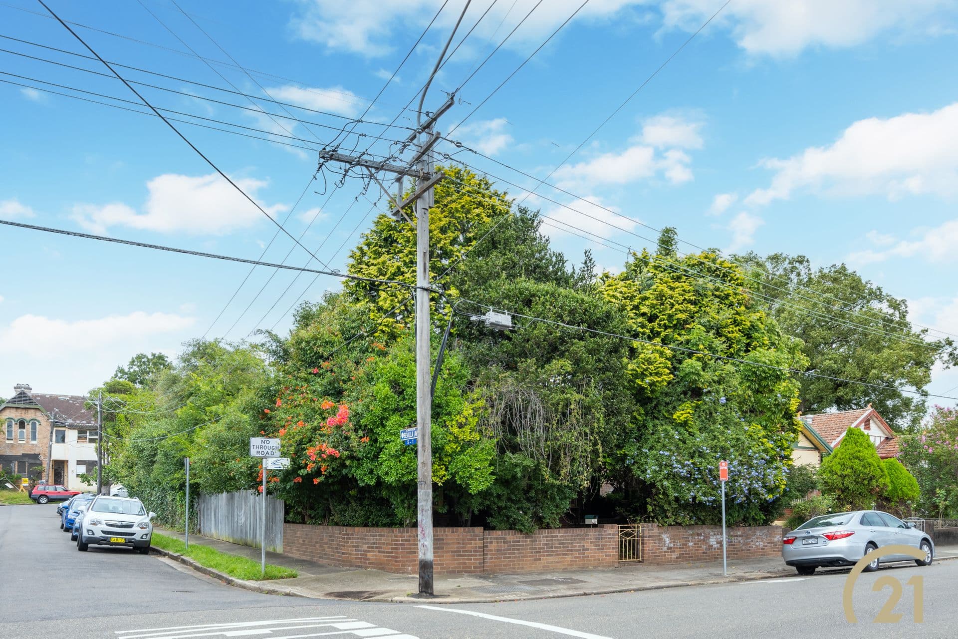 128 Elizabeth Street, Ashfield, NSW, 2131, Ashfield - Thumbnail 2