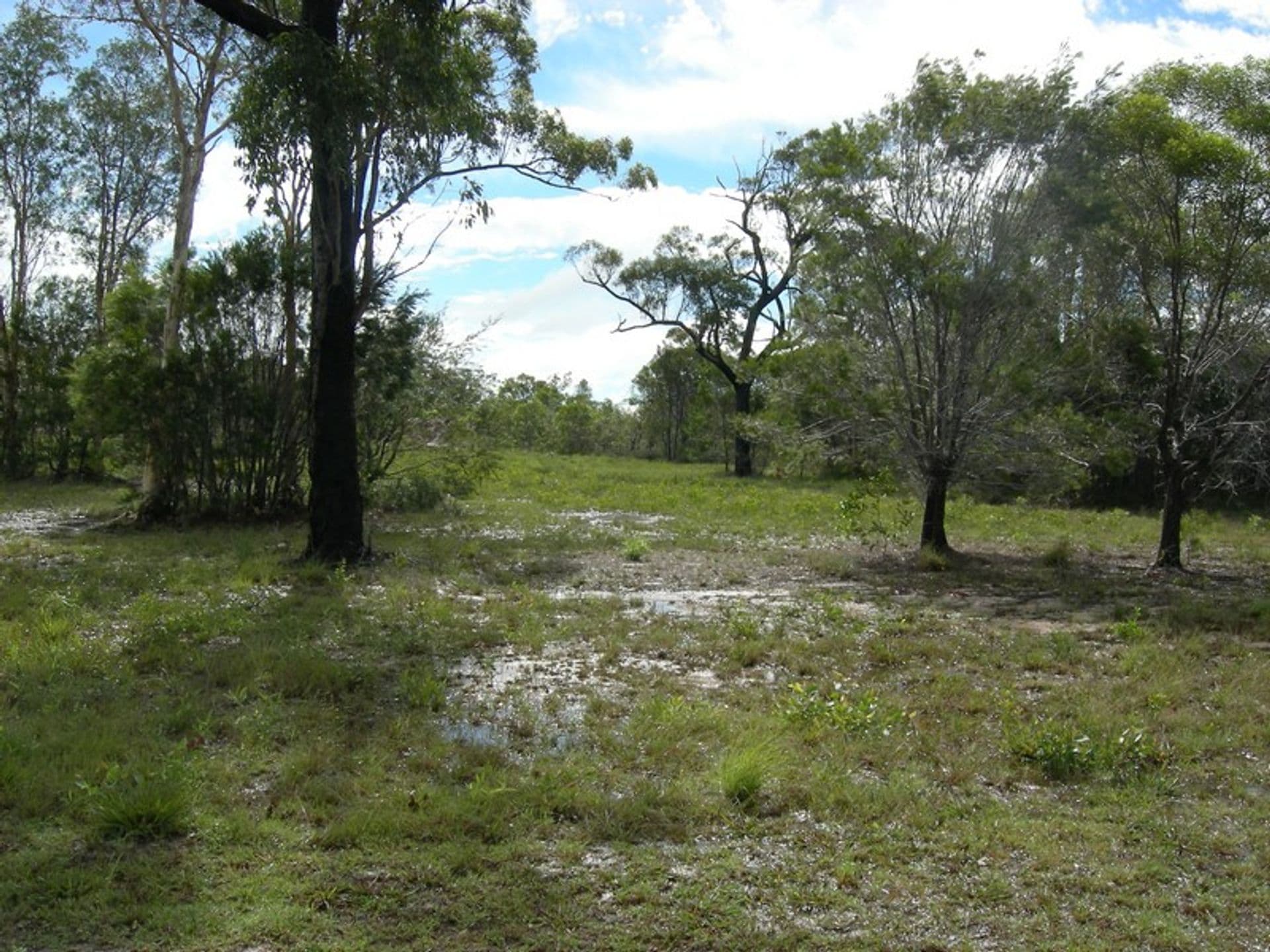 57 Ellengowan St, Urangan, QLD, 4655, Urangan - Thumbnail 5