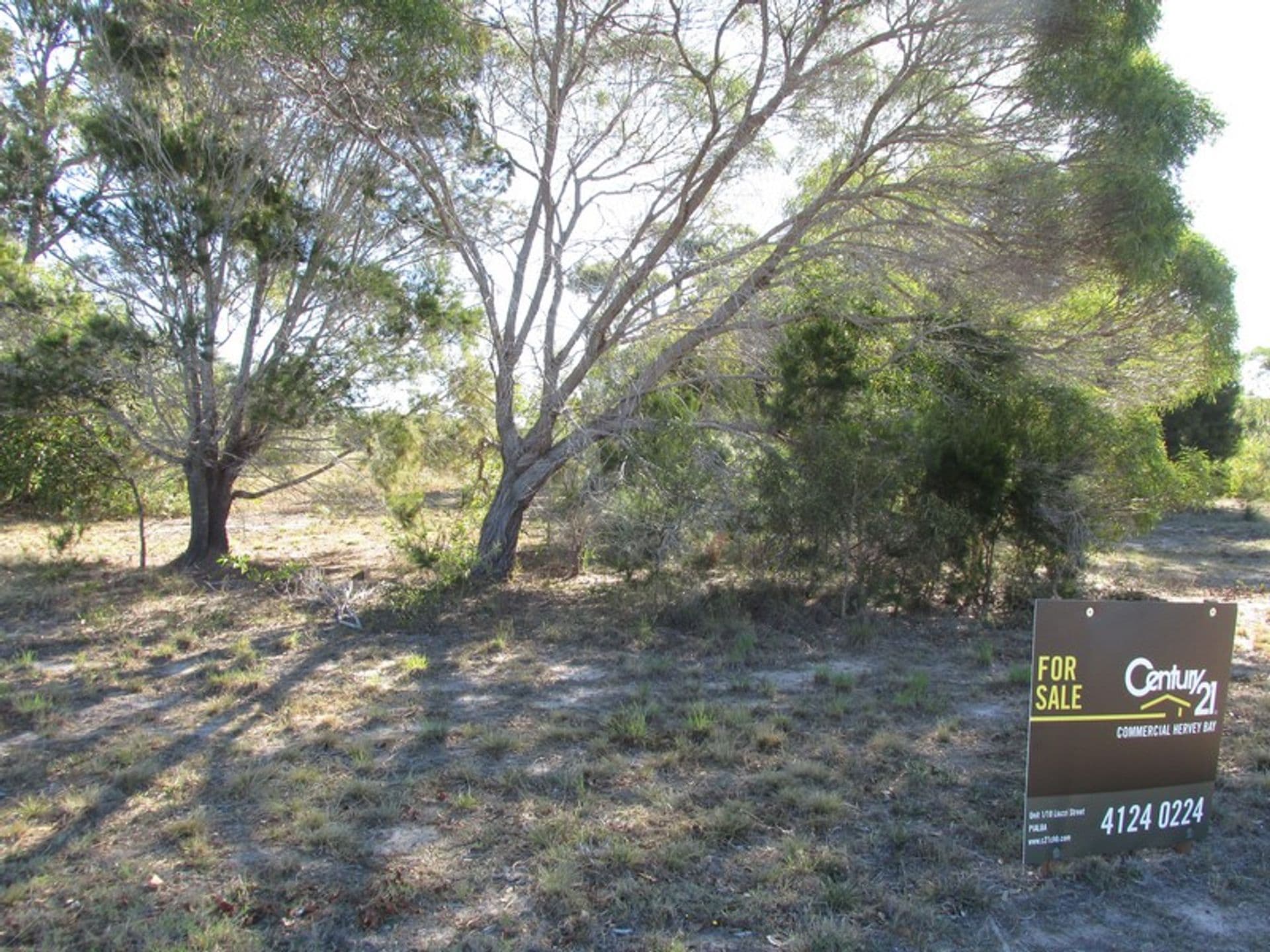 57 Ellengowan St, Urangan, QLD, 4655, Urangan - Thumbnail 4
