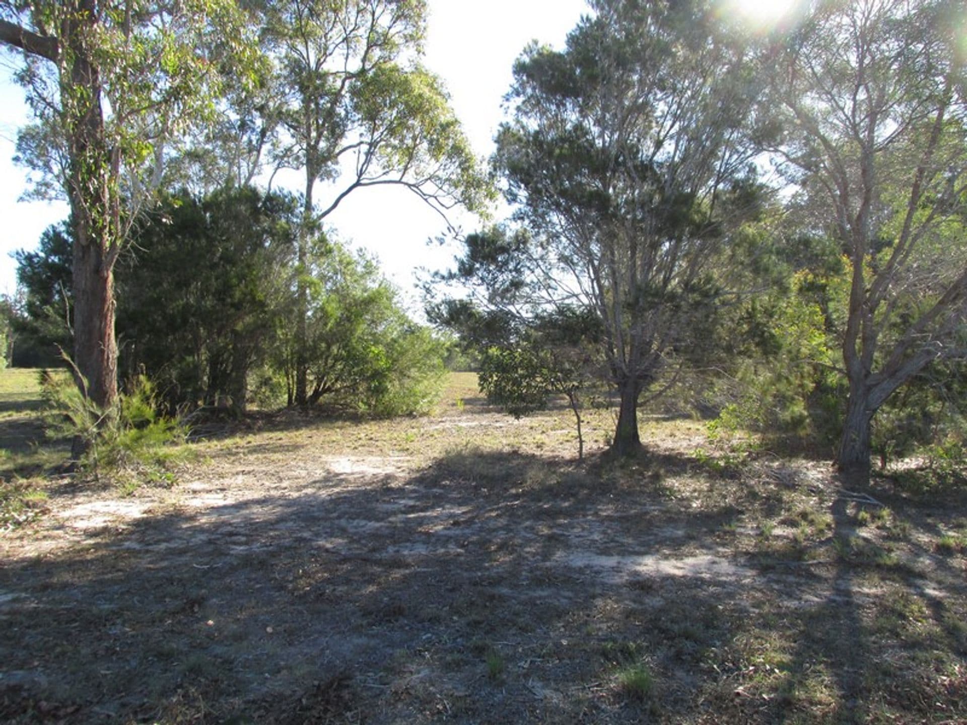 57 Ellengowan St, Urangan, QLD, 4655, Urangan - Thumbnail 8