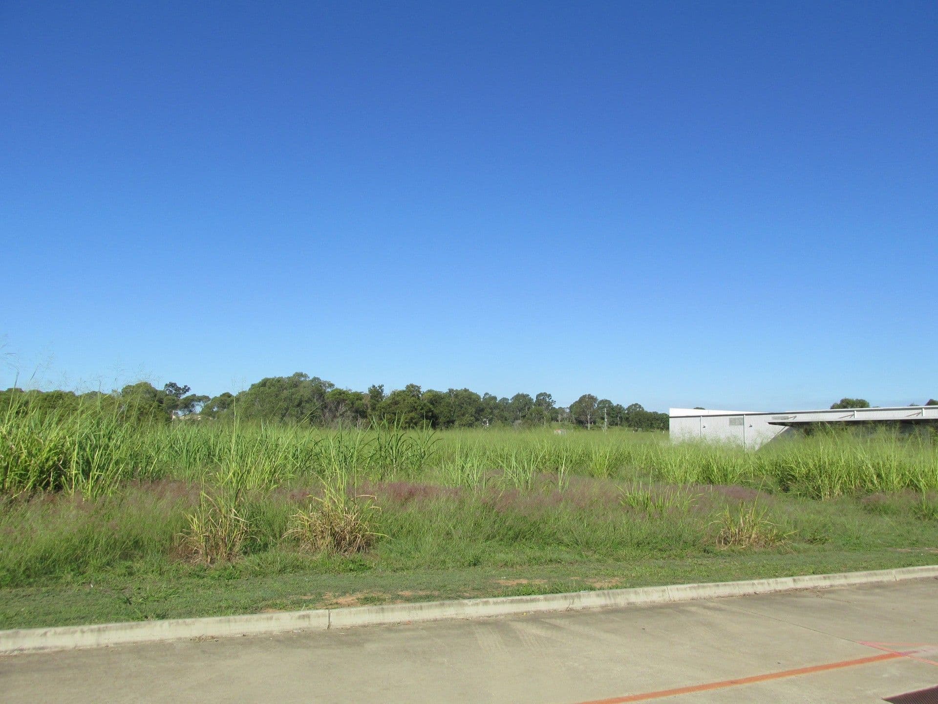 1/10 Liuzzi Street, PIALBA, Hervey Bay, QLD, 4655, Urraween - Thumbnail 3