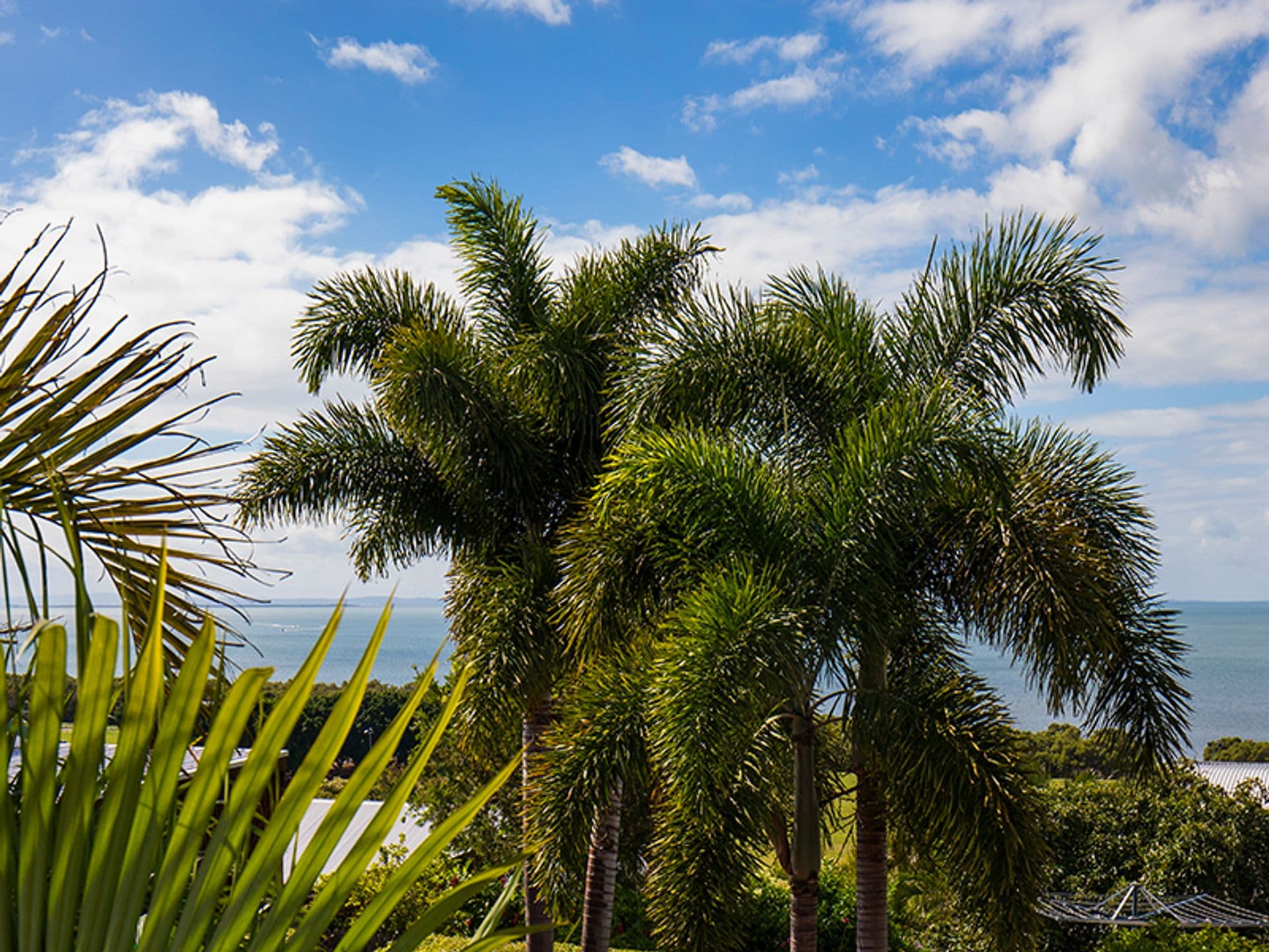 27 Petersen Street, Wynnum, QLD, 4178, Wynnum - Thumbnail 4