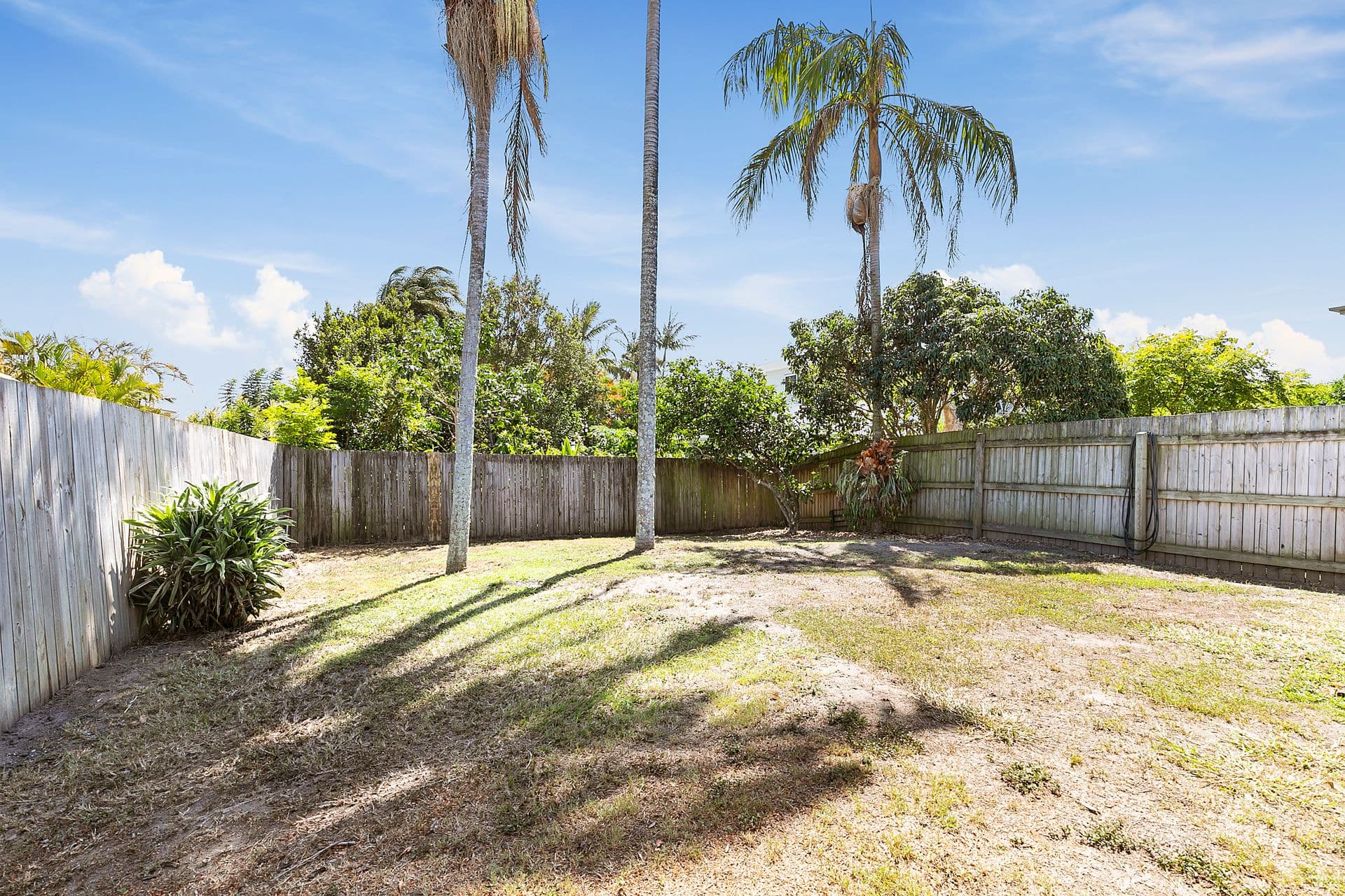 31 Daisy Road, Manly West, QLD, 4179, Manly West - Thumbnail 8
