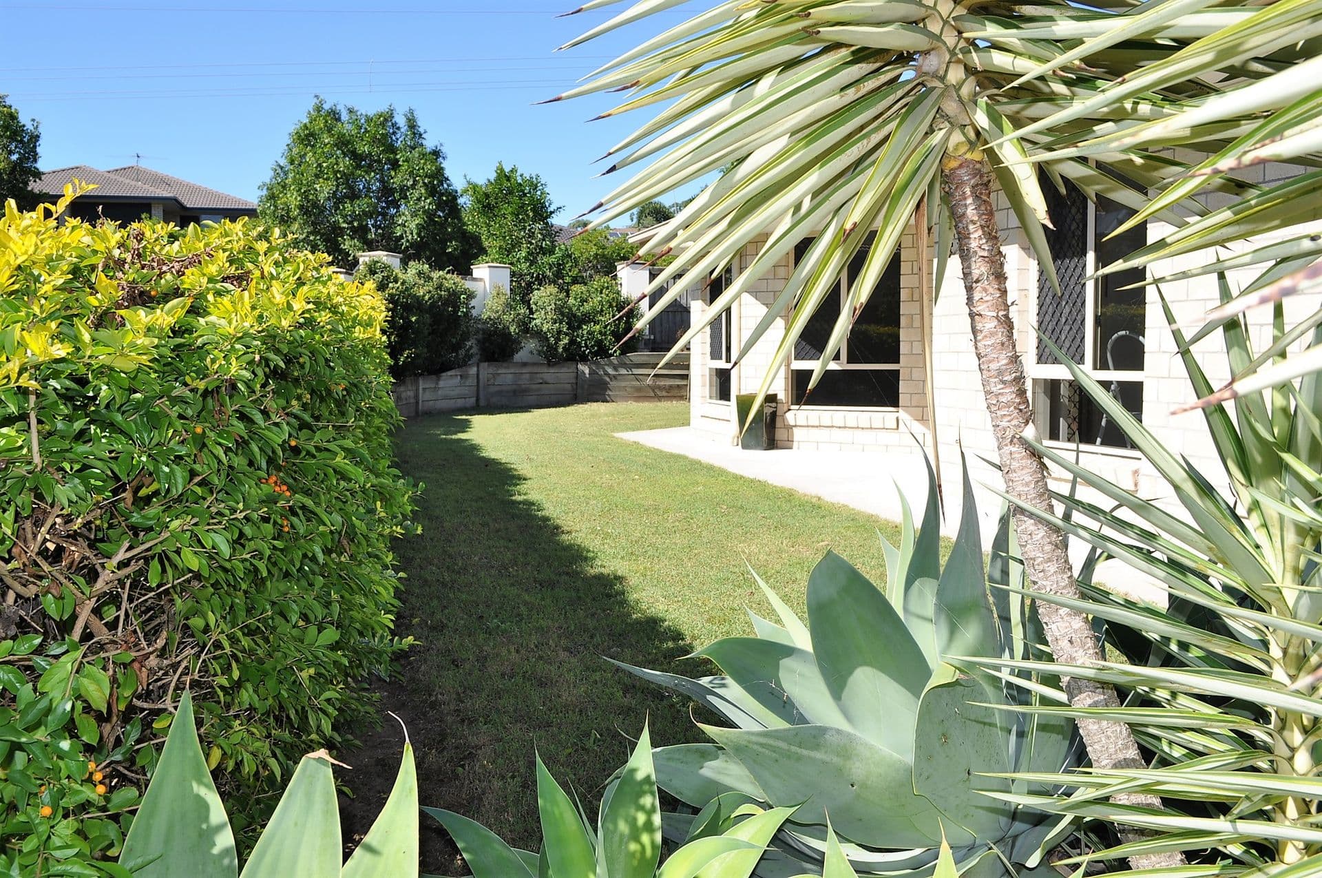 2 Figtree Place, Wakerley, QLD, 4154, Wakerley - Thumbnail 7