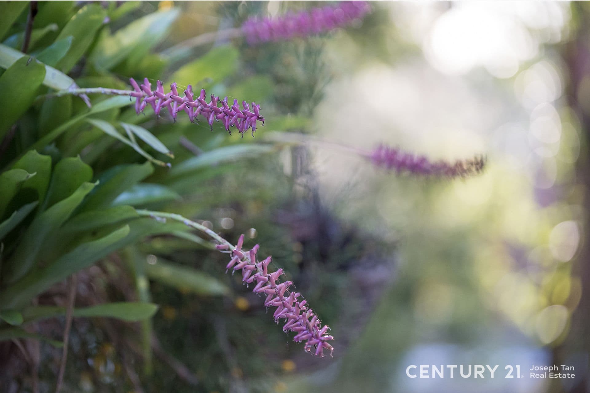 13/124-130  Shepherds Drive, Cherrybrook, NSW, 2126, Cherrybrook - Thumbnail 8