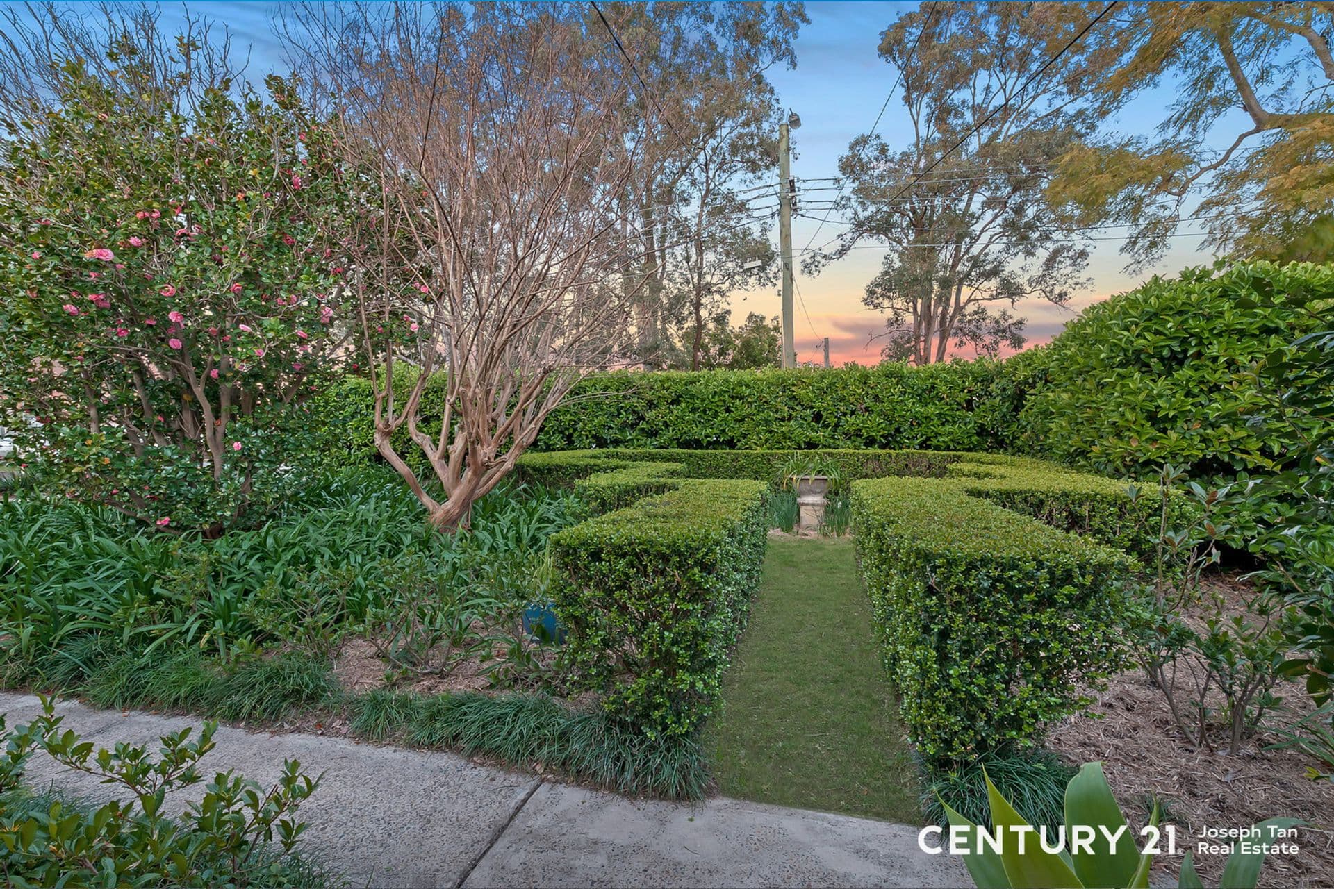 19 New Line Road, West Pennant Hills, NSW, 2125, West Pennant Hills - Thumbnail 2