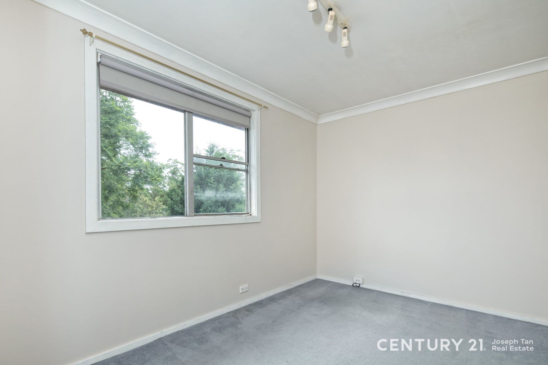 92 Aiken Road, West Pennant Hills, NSW, 2125, West Pennant Hills - Thumbnail 7