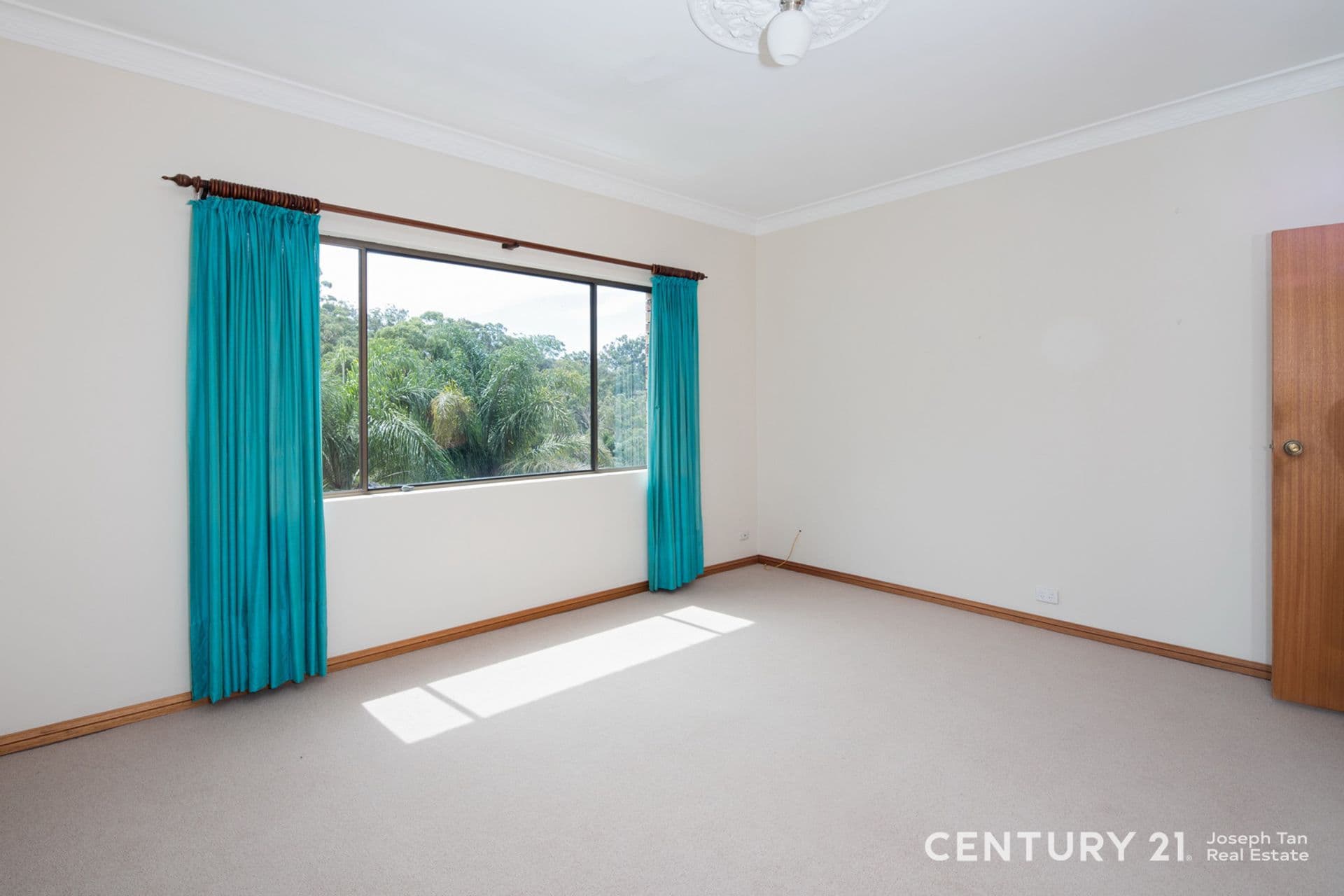 199 Copeland Road, Beecroft, NSW, 2119, Beecroft - Thumbnail 4