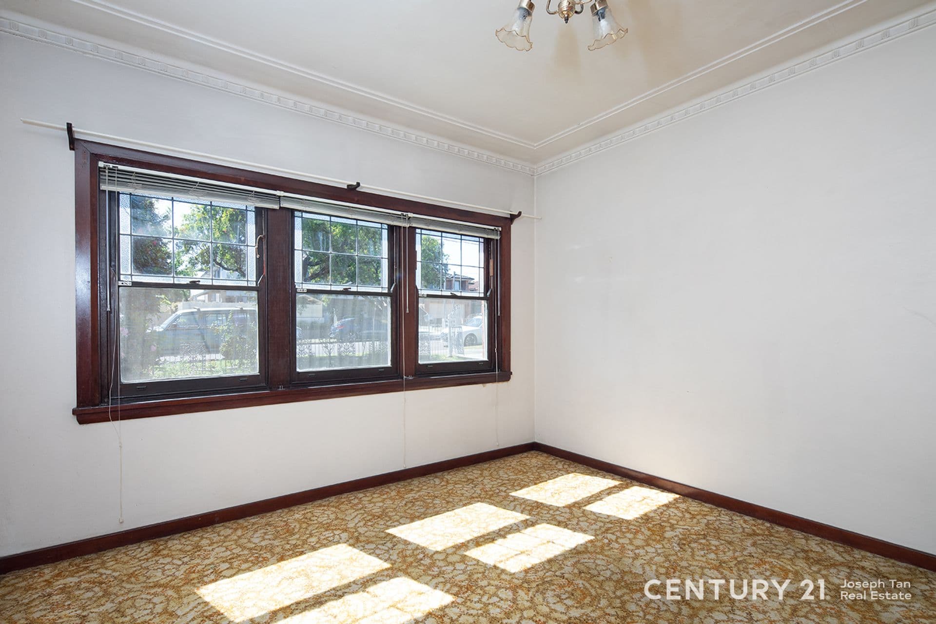 40 Cecilia Street, Belmore, NSW, 2192, Belmore - Thumbnail 3