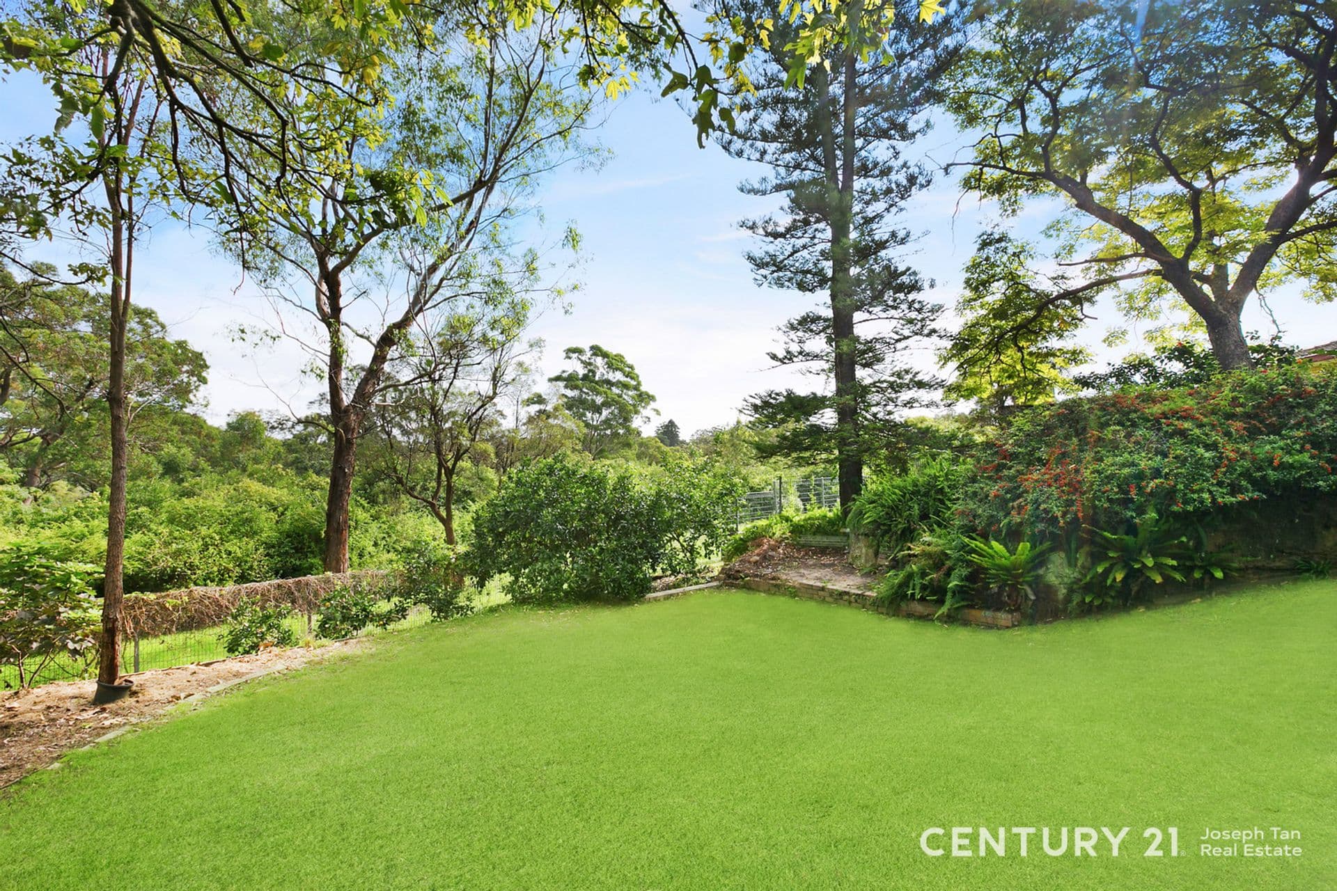 20 Menzies Road, Marsfield, NSW, 2122, Marsfield - Thumbnail 8