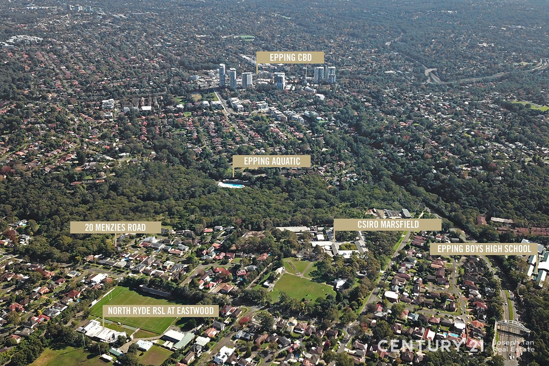 20 Menzies Road, Marsfield, NSW, 2122, Marsfield - Thumbnail 2