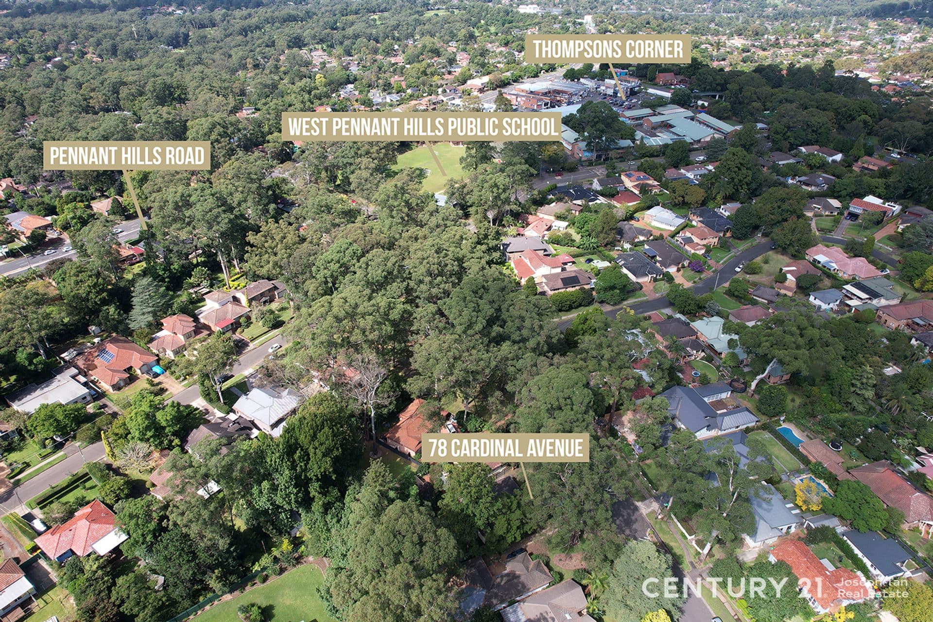 78 Cardinal Avenue, West Pennant Hills, NSW, 2125, West Pennant Hills - Thumbnail 3