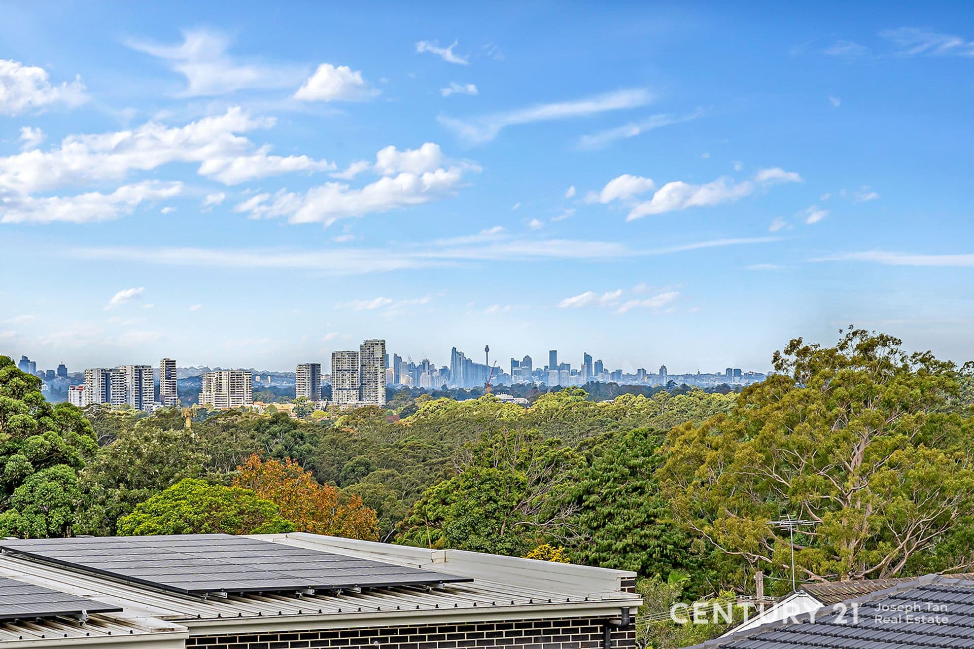 545 Pennant Hills Road, West Pennant Hills, NSW, 2125, Beecroft - Thumbnail 6