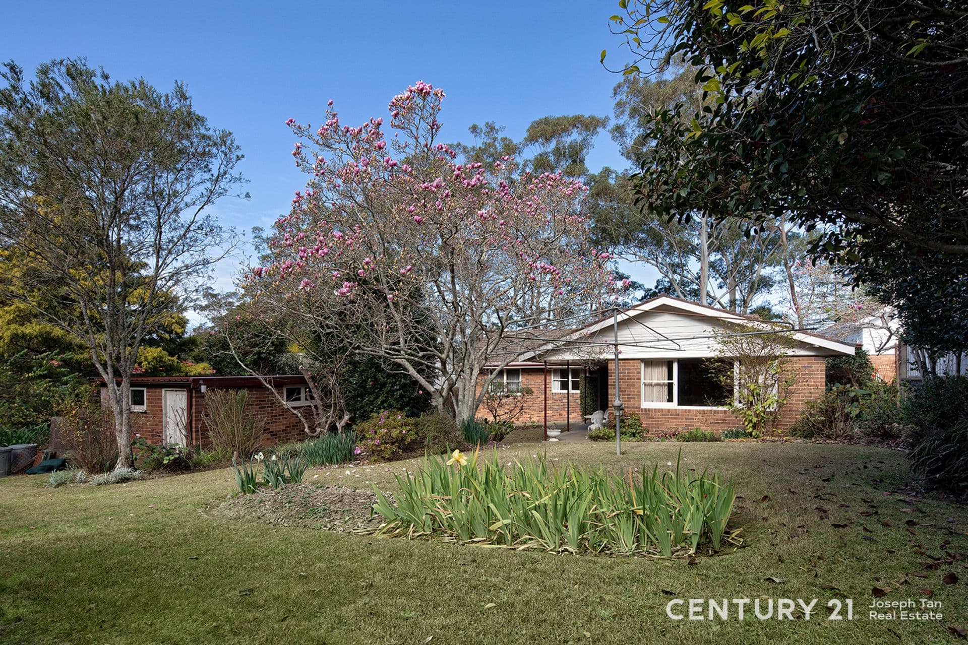 96 Hannah Street, Beecroft, NSW, 2119, Beecroft - Thumbnail 2